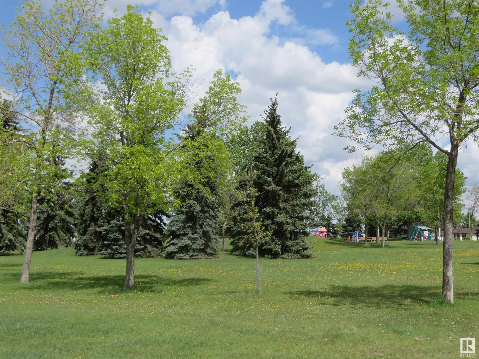 627 Kirkness Rd Nw, Edmonton, Alberta  T5Y 1Z9 - Photo 72 - E4418101