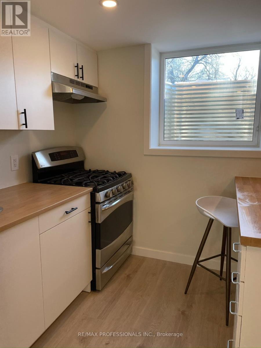Lower Level - 17 Seeley Avenue, Hamilton, Ontario  L8V 2G9 - Photo 4 - X12171044