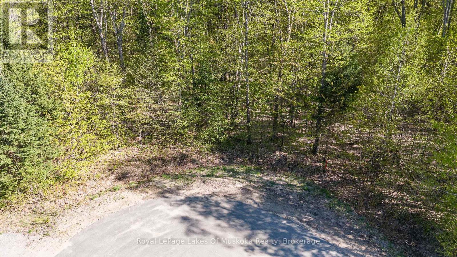 Lot 2 Riverside Drive, Kearney, Ontario P0A 1M0 - Photo 5 - X12167162