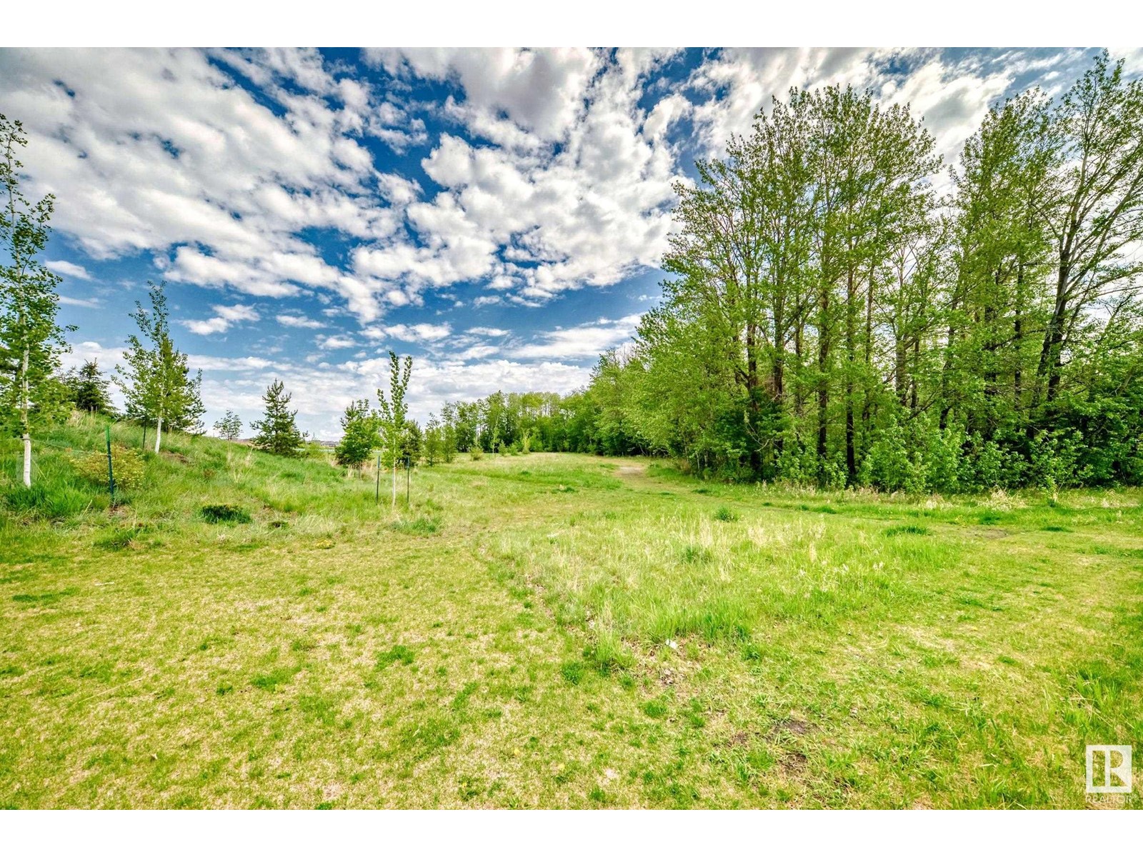 5213 Edgemont Bv Nw Nw, Edmonton, Alberta  T6M 1J9 - Photo 58 - E4438351