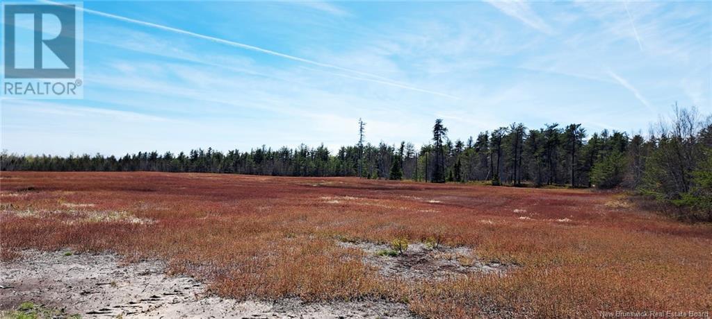 29 Acres Ch Adelard Road, Pont-Lafrance, New Brunswick  E1X 1P1 - Photo 1 - NB118422