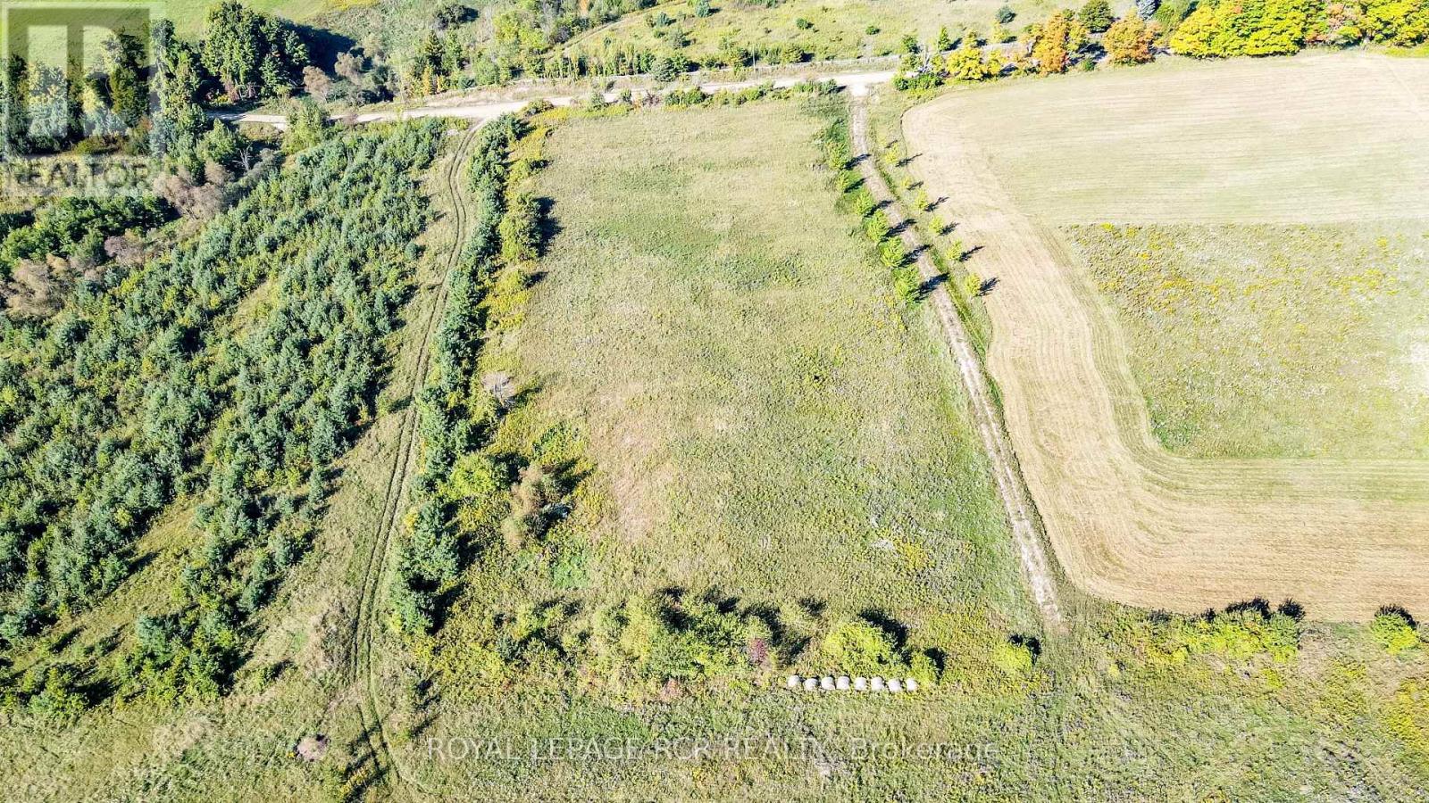 877281 5th Line E, Mulmur, Ontario  L9V 0K4 - Photo 4 - X12171112
