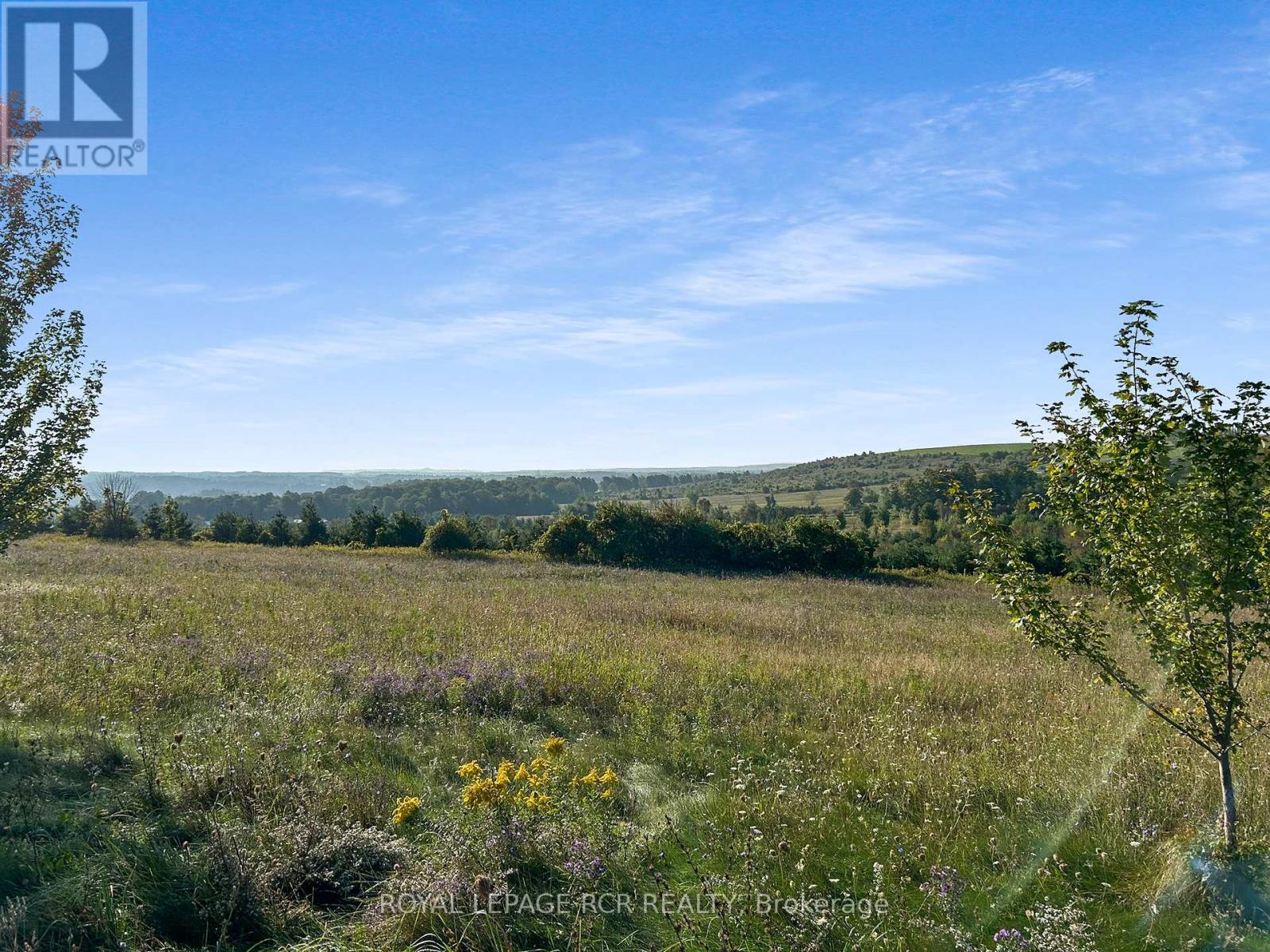 877281 5th Line E, Mulmur, Ontario  L9V 0K4 - Photo 8 - X12171112