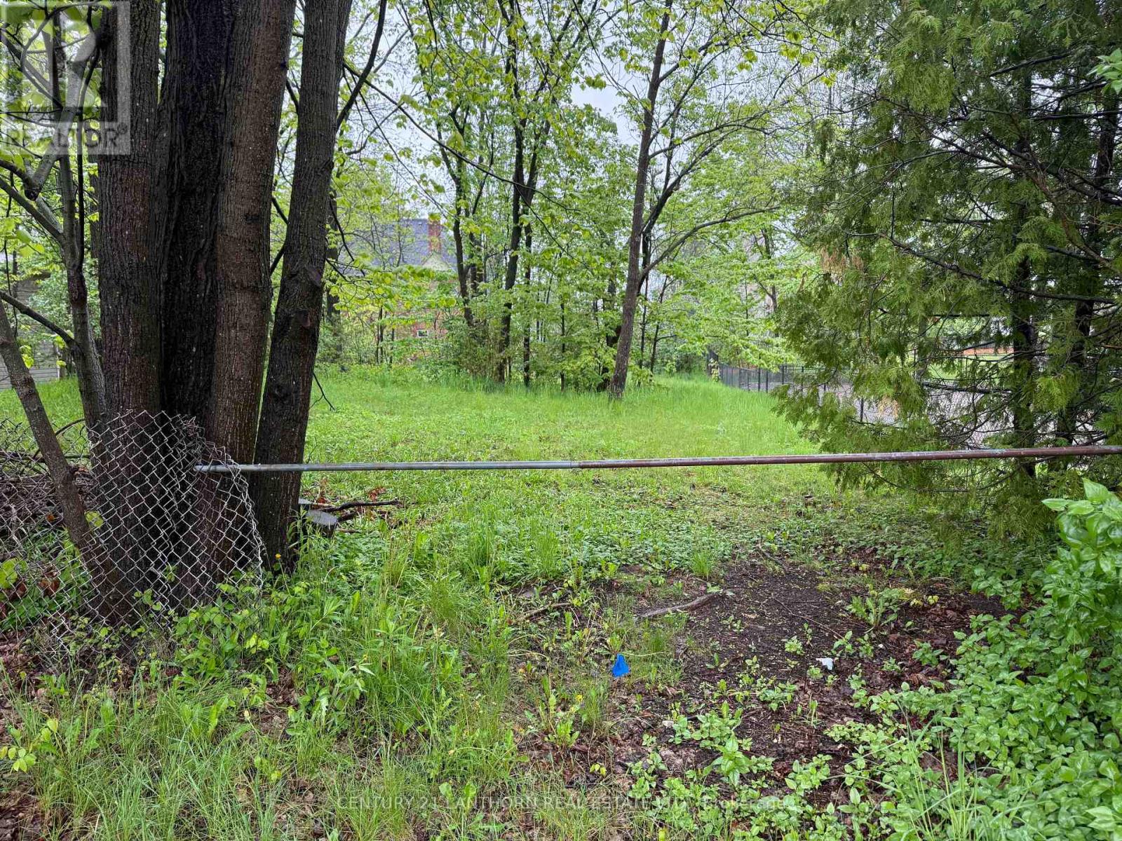 29 Rollins Street, Centre Hastings, Ontario  K0K 2K0 - Photo 2 - X12171173