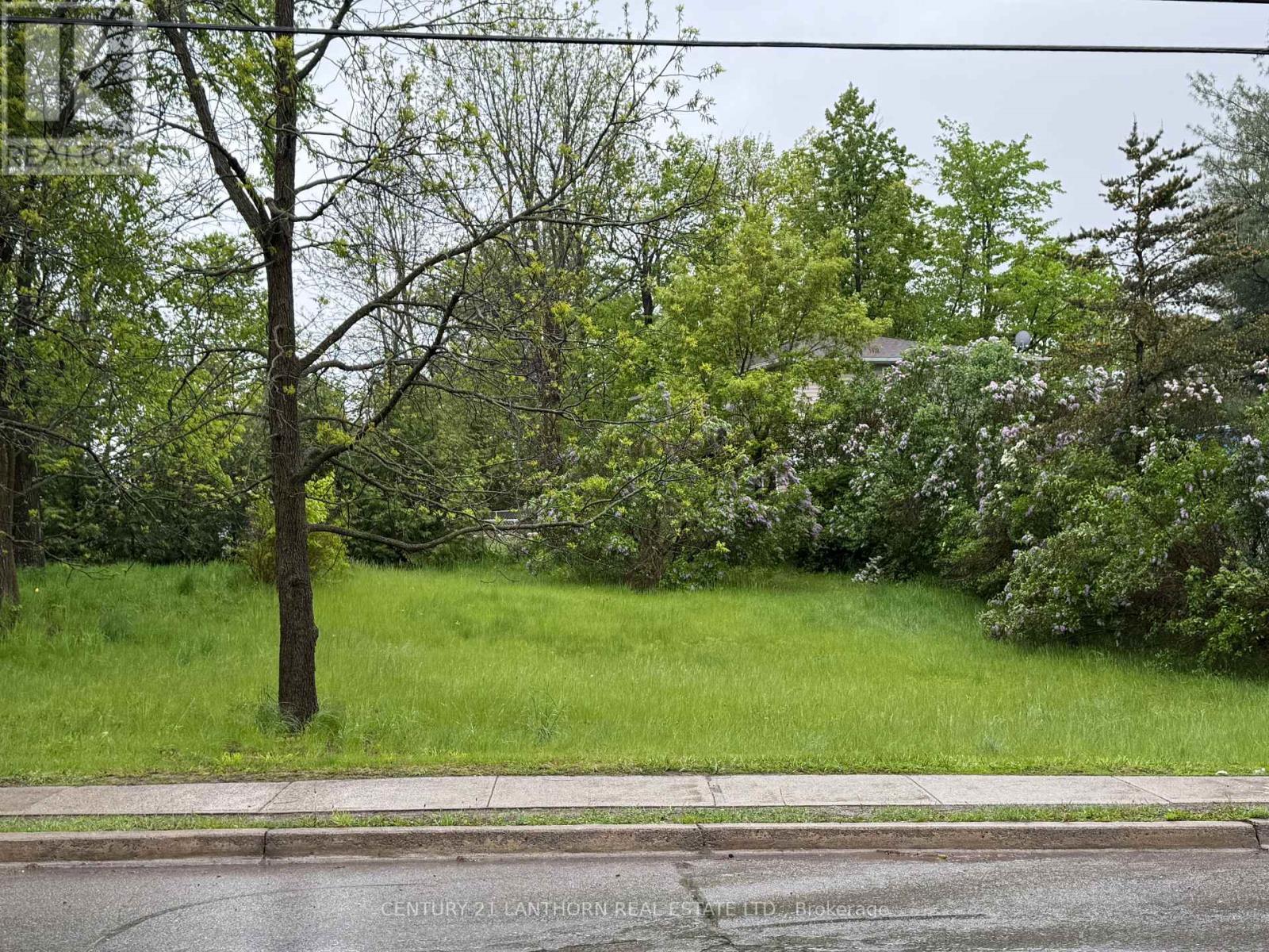 0 St Lawrence Street W, Centre Hastings, Ontario  K0K 2K0 - Photo 4 - X12171186