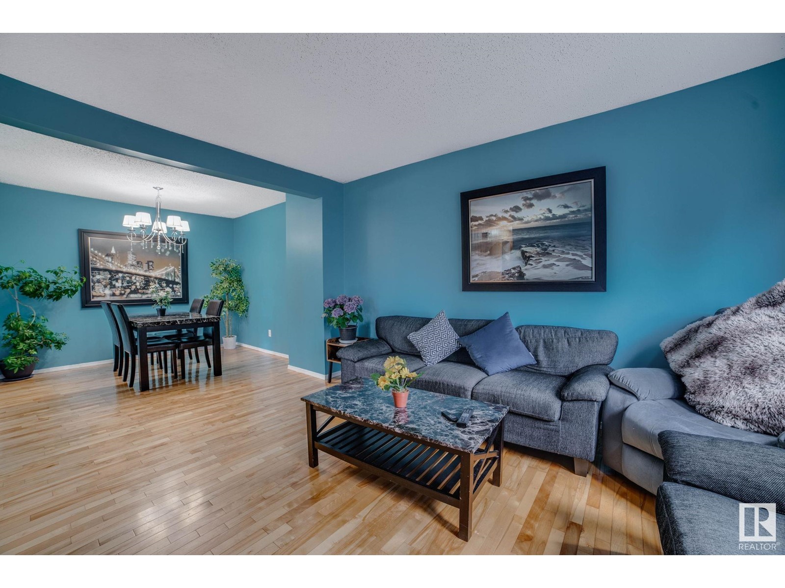 827 Erin Pl Nw, Edmonton, Alberta  T5T 1M6 - Photo 5 - E4438367