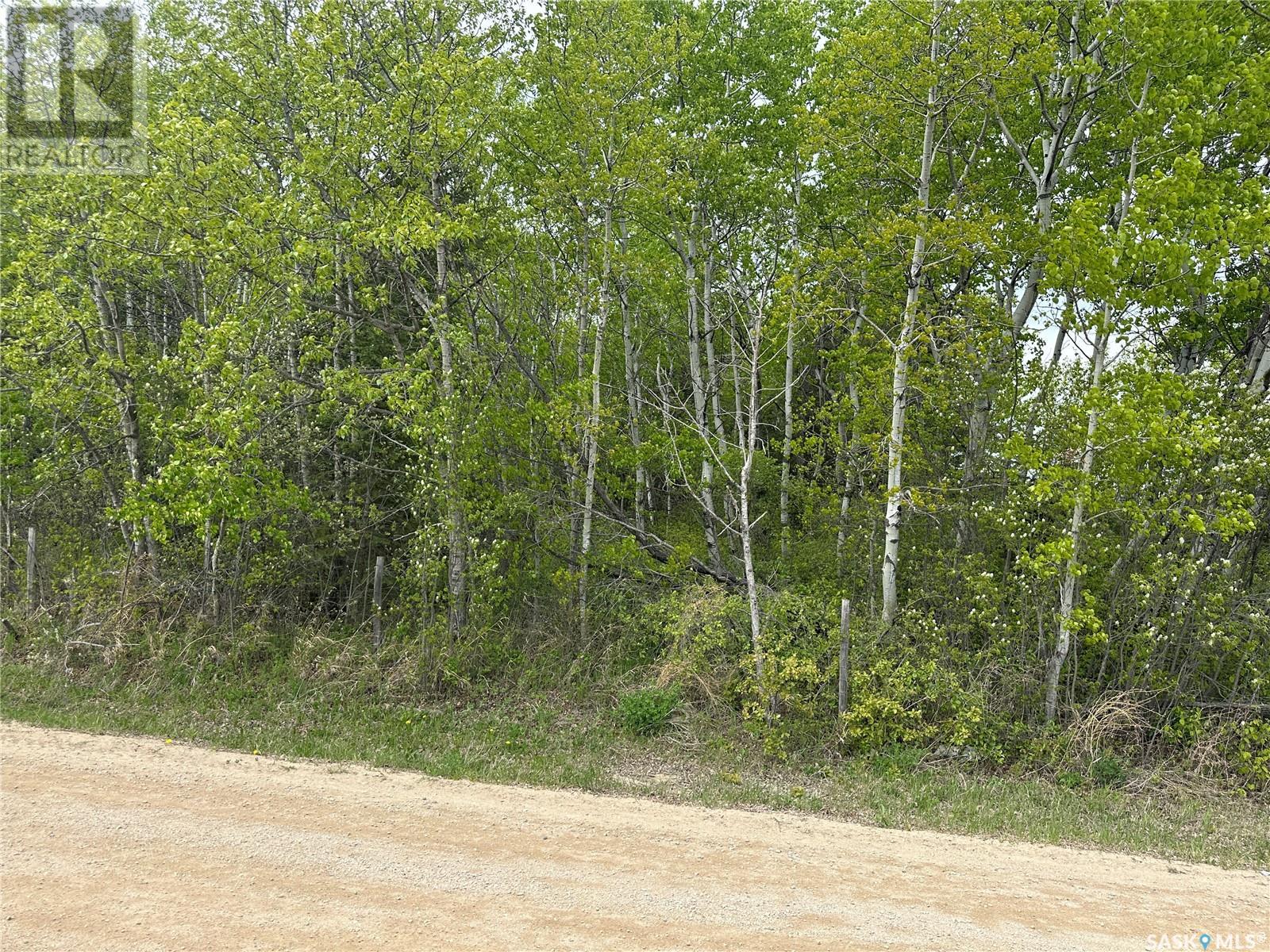 1 George Street, Big River, Saskatchewan  S0J 0E0 - Photo 2 - SK007039