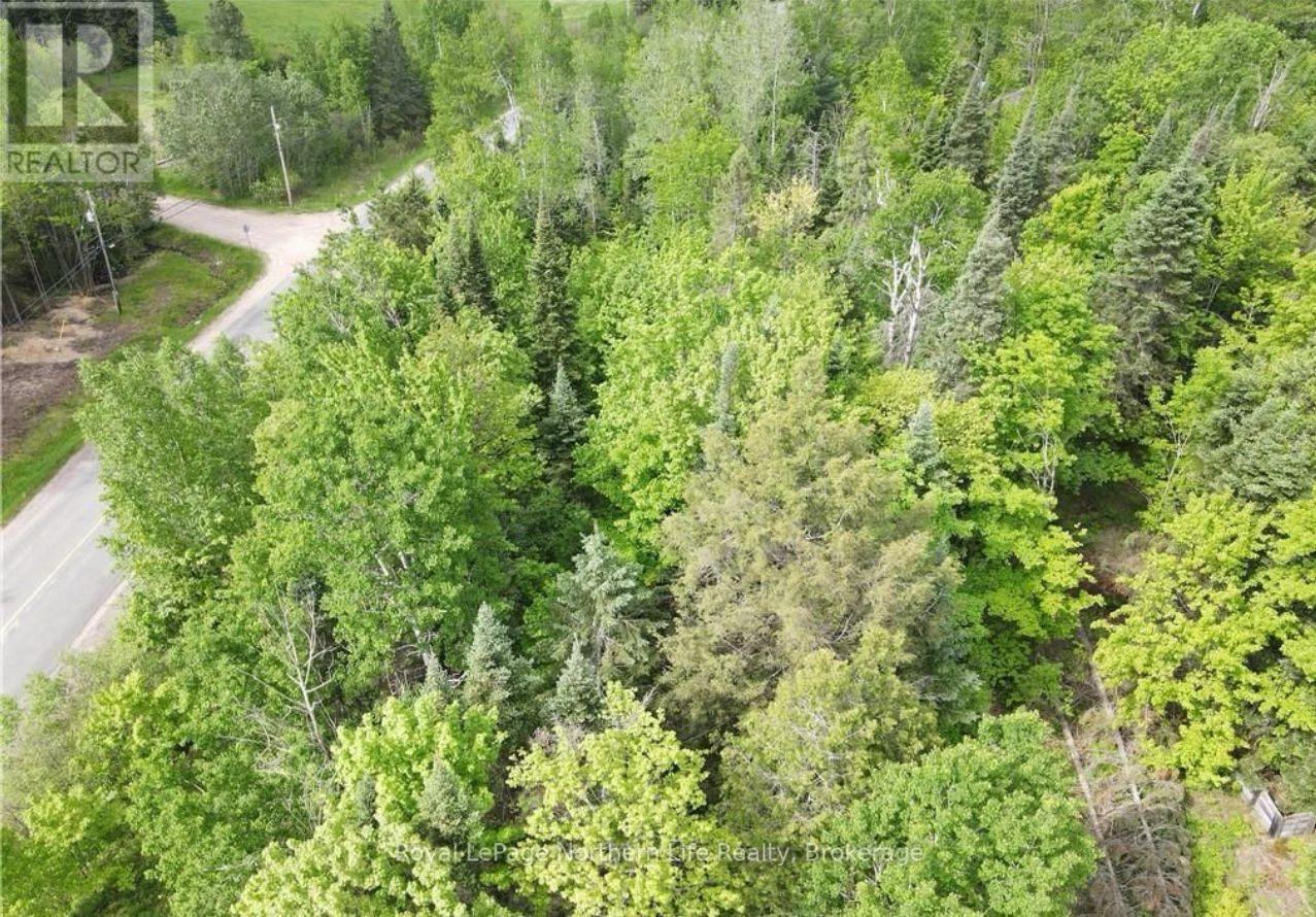 736 Highway 534, Powassan, Ontario  P0H 1Z0 - Photo 10 - X12095623