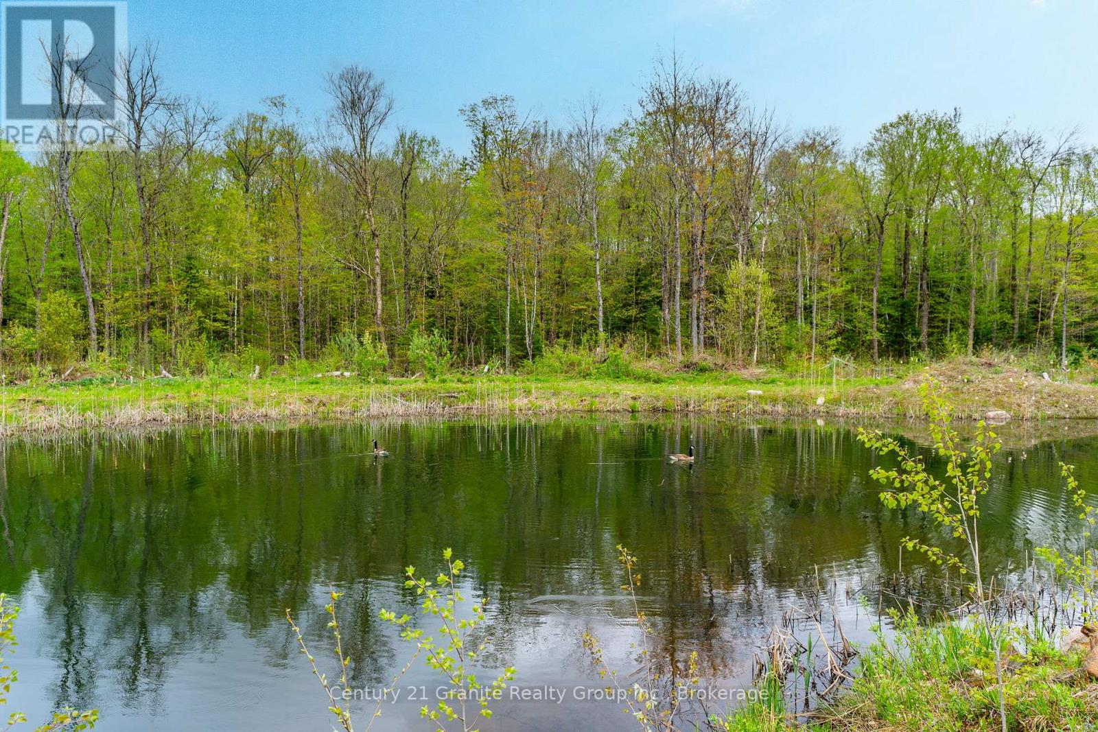 9734 Highway 118 W, Algonquin Highlands, Ontario  K0M 1J2 - Photo 32 - X11925067