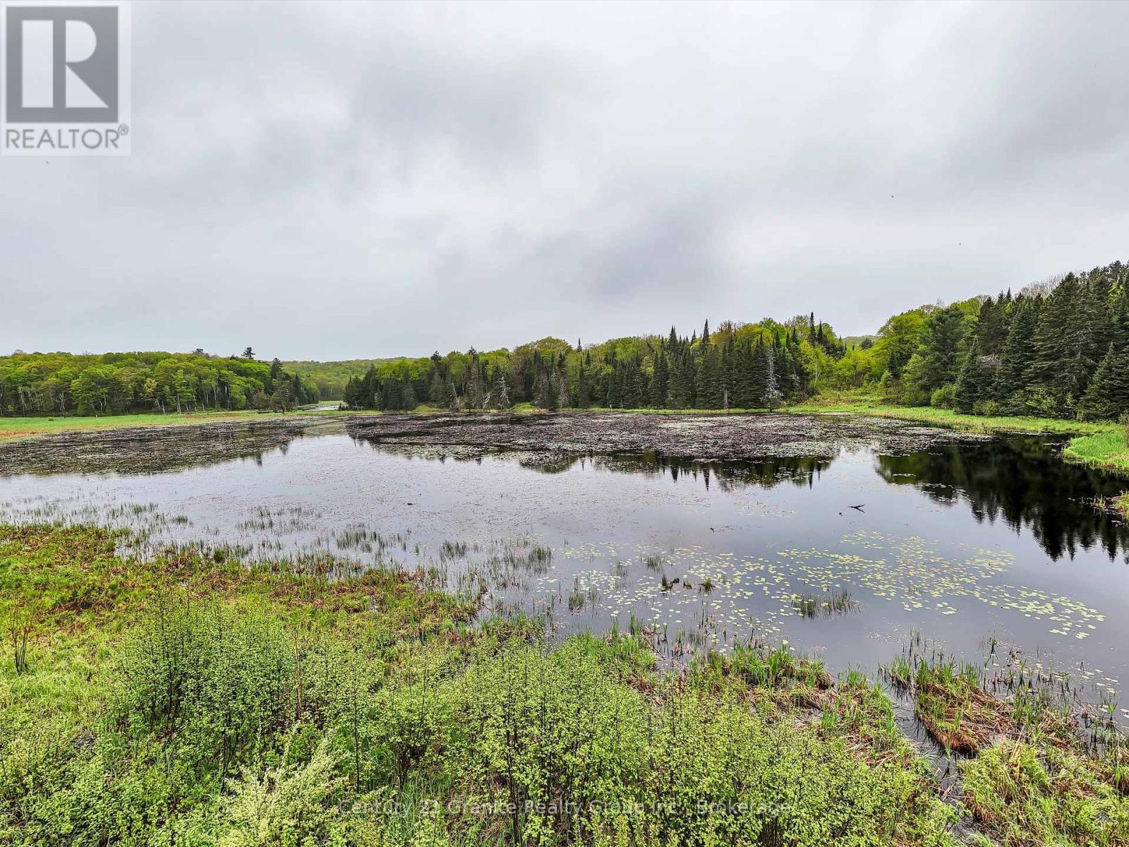 2302 Buckslide Road, Algonquin Highlands, Ontario  K0M 1J1 - Photo 30 - X12170461