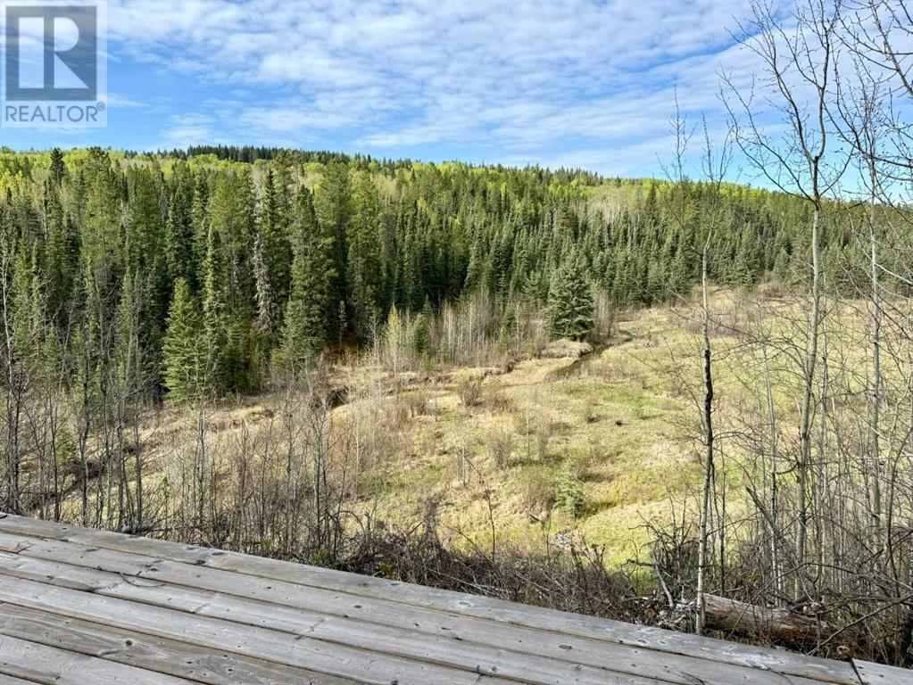 West Of Rr 55 On Twp 303, Rural Bighorn No. 8, Alberta  T0M 0R0 - Photo 2 - A2224205