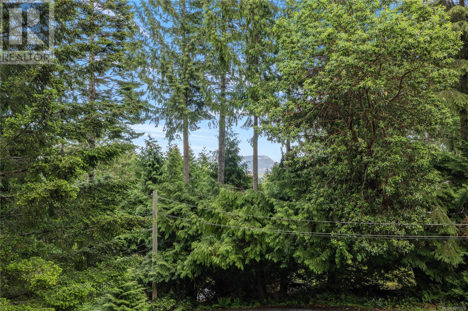 405 Mt. Belcher Hts, Salt Spring, British Columbia  V8K 2J5 - Photo 28 - 1000979