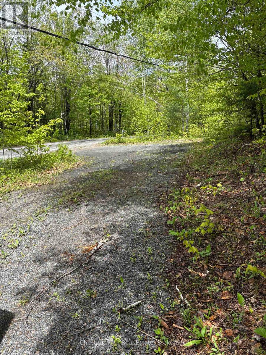 1498 Lone Pine Drive, Bracebridge, Ontario  P1L 1X4 - Photo 2 - X12171709