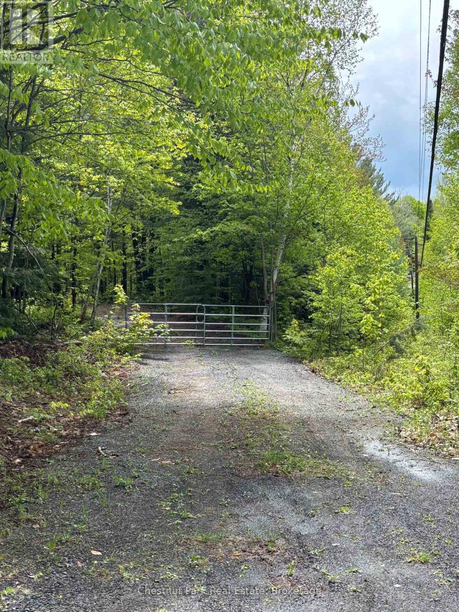 1498 Lone Pine Drive, Bracebridge, Ontario  P1L 1X4 - Photo 3 - X12171709