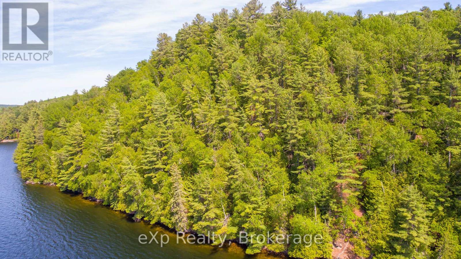 Lot # 4 Gonnsen Trail, Dysart Et Al (Dudley), Ontario  K0M 1S0 - Photo 4 - X12171671