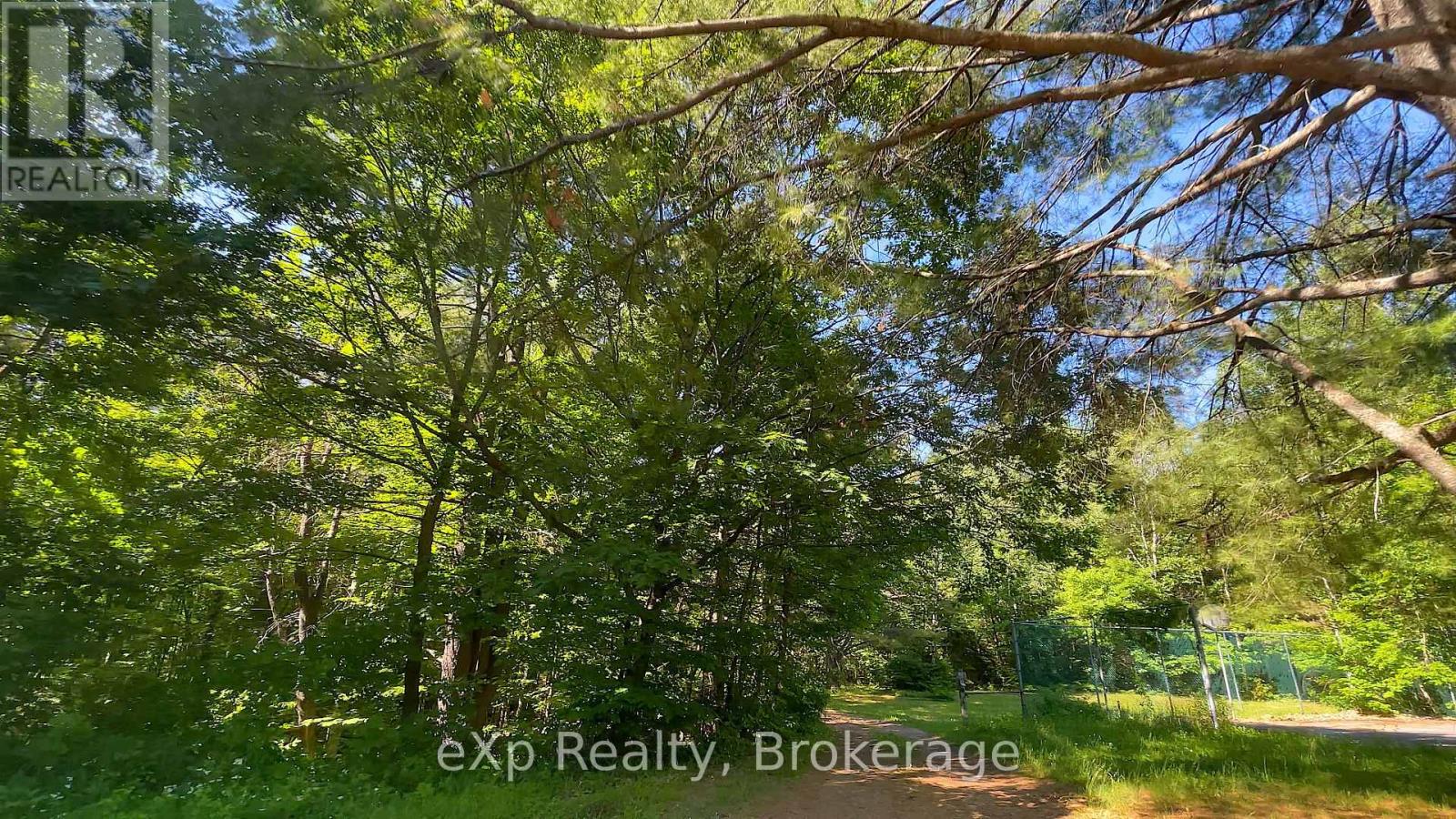 Lot 5 Gonnsen Trail, Dysart Et Al, Ontario  K0M 1S0 - Photo 12 - X12171687