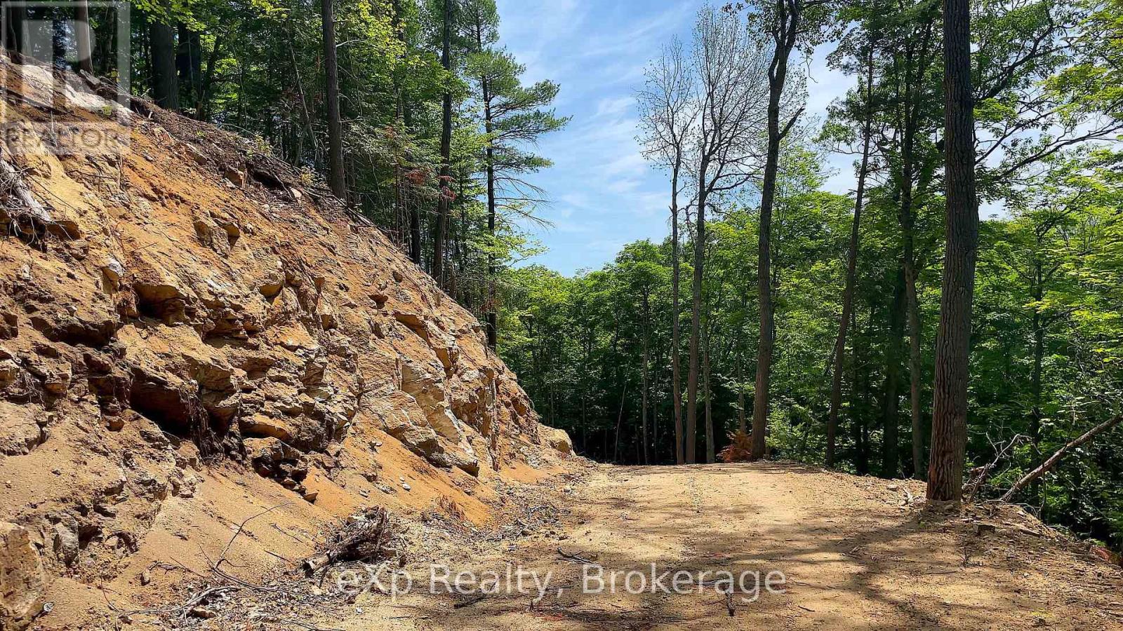 Lot 5 Gonnsen Trail, Dysart Et Al, Ontario  K0M 1S0 - Photo 9 - X12171687