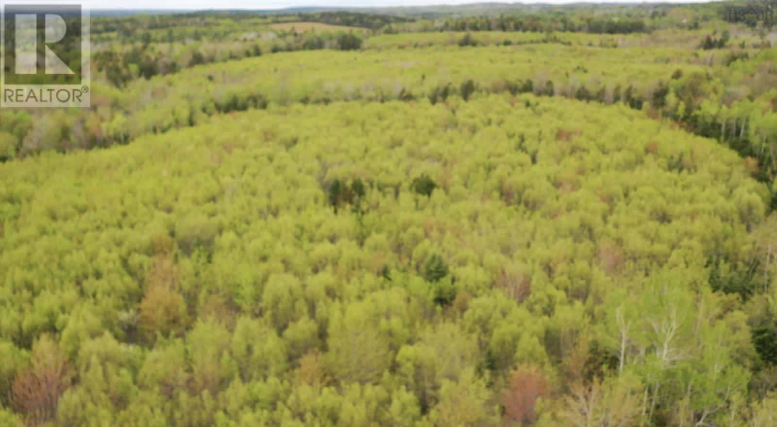 Lot Wallace Road, Hazel Glen, Nova Scotia  B0K 2A0 - Photo 10 - 202508389