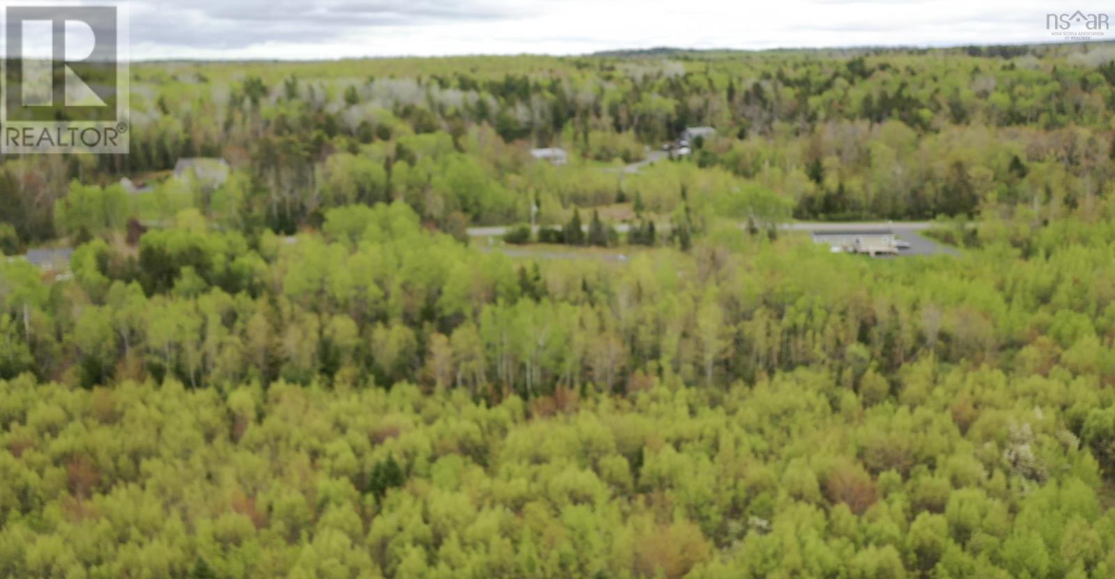 Lot Wallace Road, Hazel Glen, Nova Scotia  B0K 2A0 - Photo 11 - 202508389