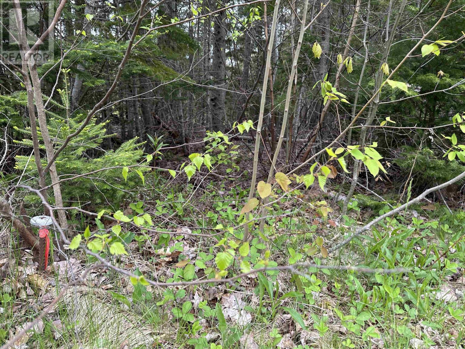 Lot Wallace Road, Hazel Glen, Nova Scotia  B0K 2A0 - Photo 3 - 202508389