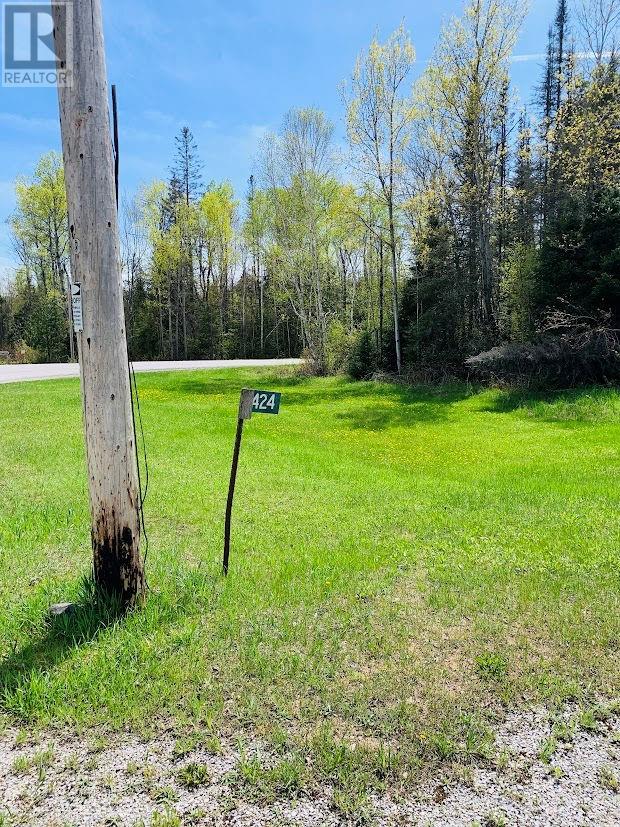 424 White Church Road, Spring Bay, Ontario  P0P 2B0 - Photo 19 - 2122486