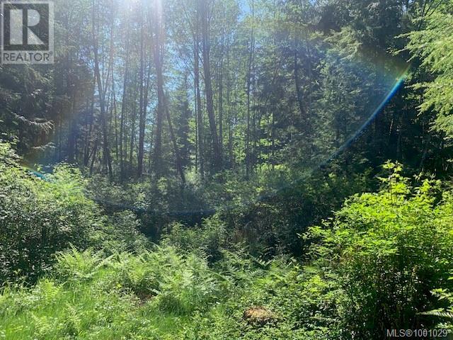 58 Busby Island, Sonora Island, British Columbia  V0N 3P0 - Photo 27 - 1001029