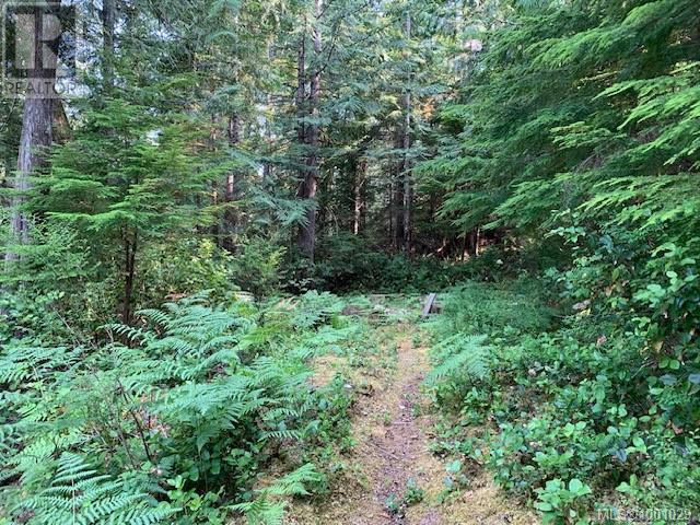 58 Busby Island, Sonora Island, British Columbia  V0N 3P0 - Photo 28 - 1001029