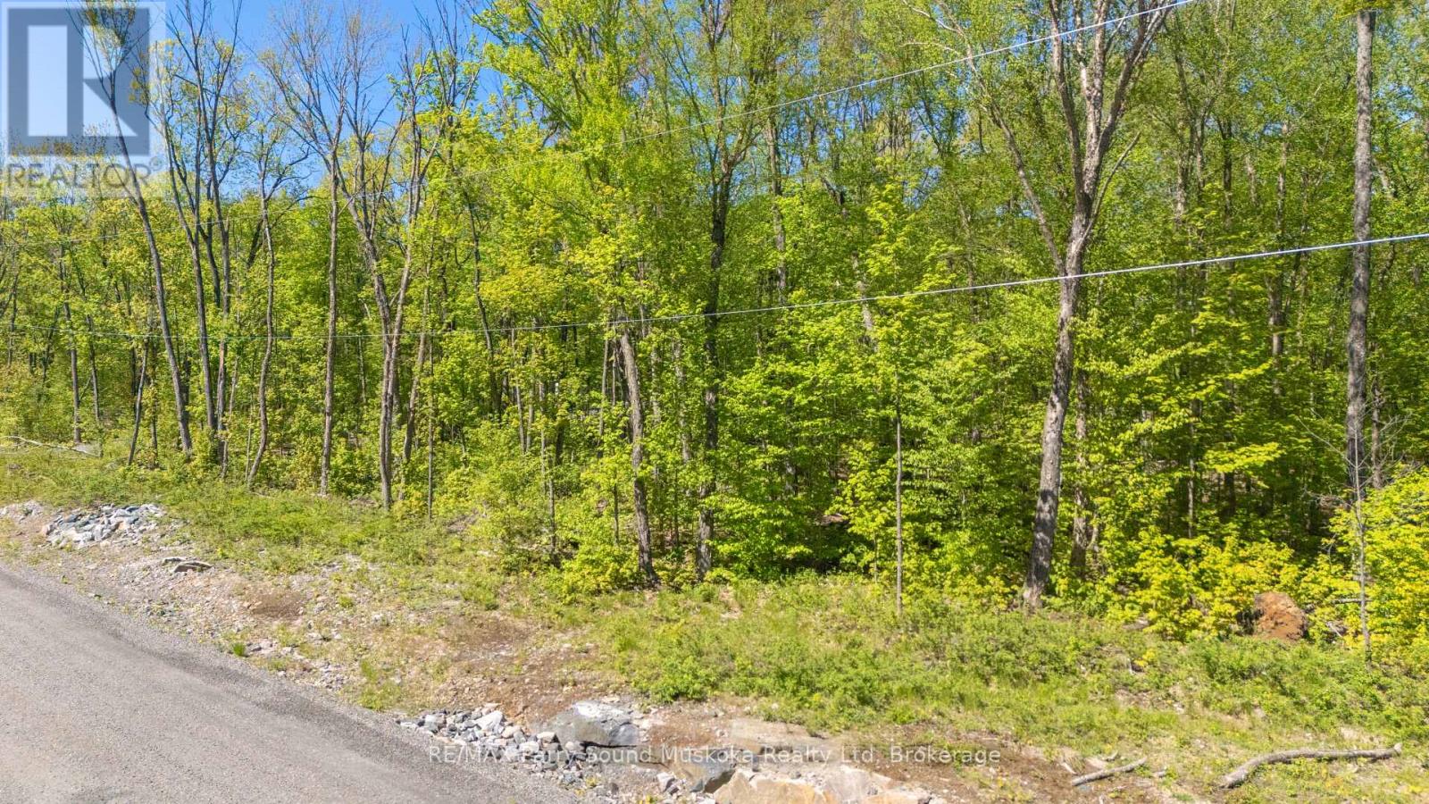 20 Zhaawashkwaa Miika Road, Seguin, Ontario  P2A 0B2 - Photo 9 - X12171827