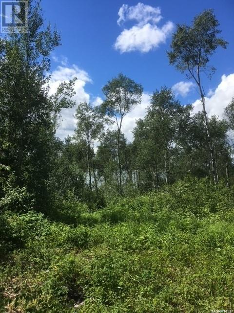 23 Sunset Cove, Big River Rm No. 555, Saskatchewan  S0J 0E0 - Photo 3 - SK996846