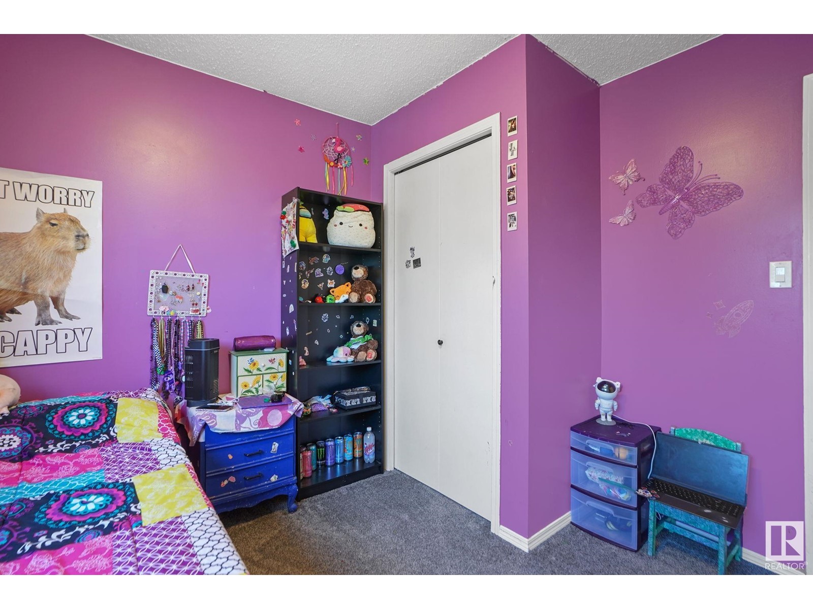 2141 78 St Nw, Edmonton, Alberta  T6K 2E4 - Photo 22 - E4438450