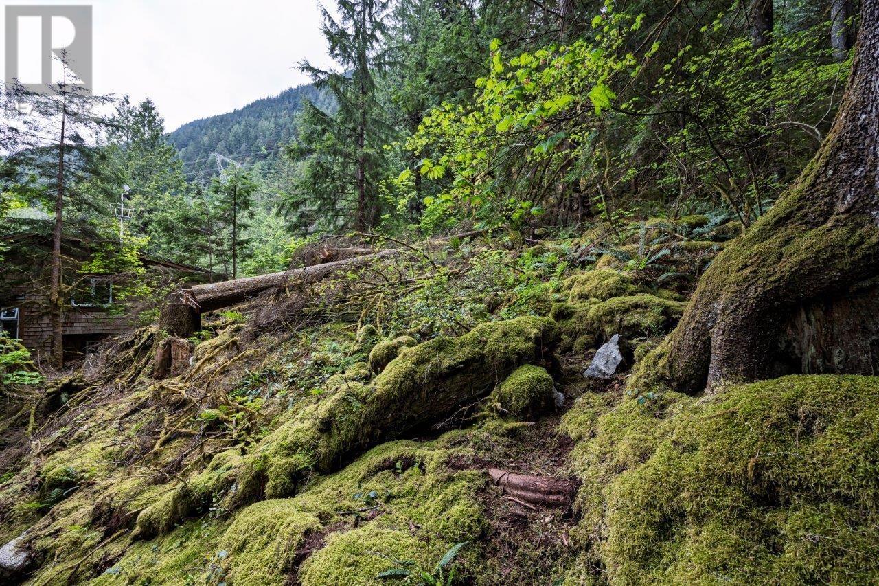 11 East Of Croker Island, North Vancouver, British Columbia  V0V 0V0 - Photo 28 - R2995484