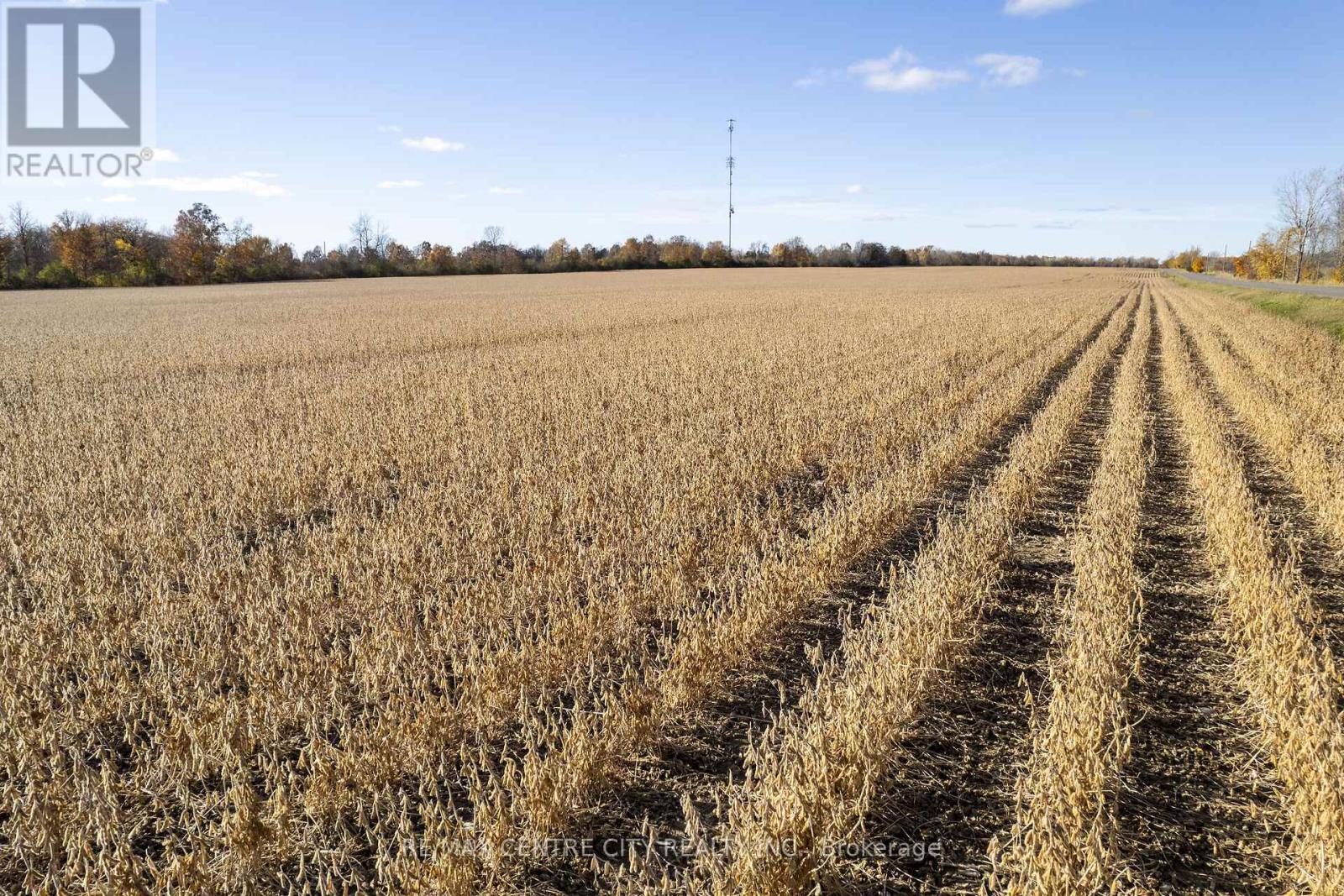 408 Concession 1 Road, Greater Napanee (Greater Napanee), Ontario  K7R 3K7 - Photo 12 - X12170474
