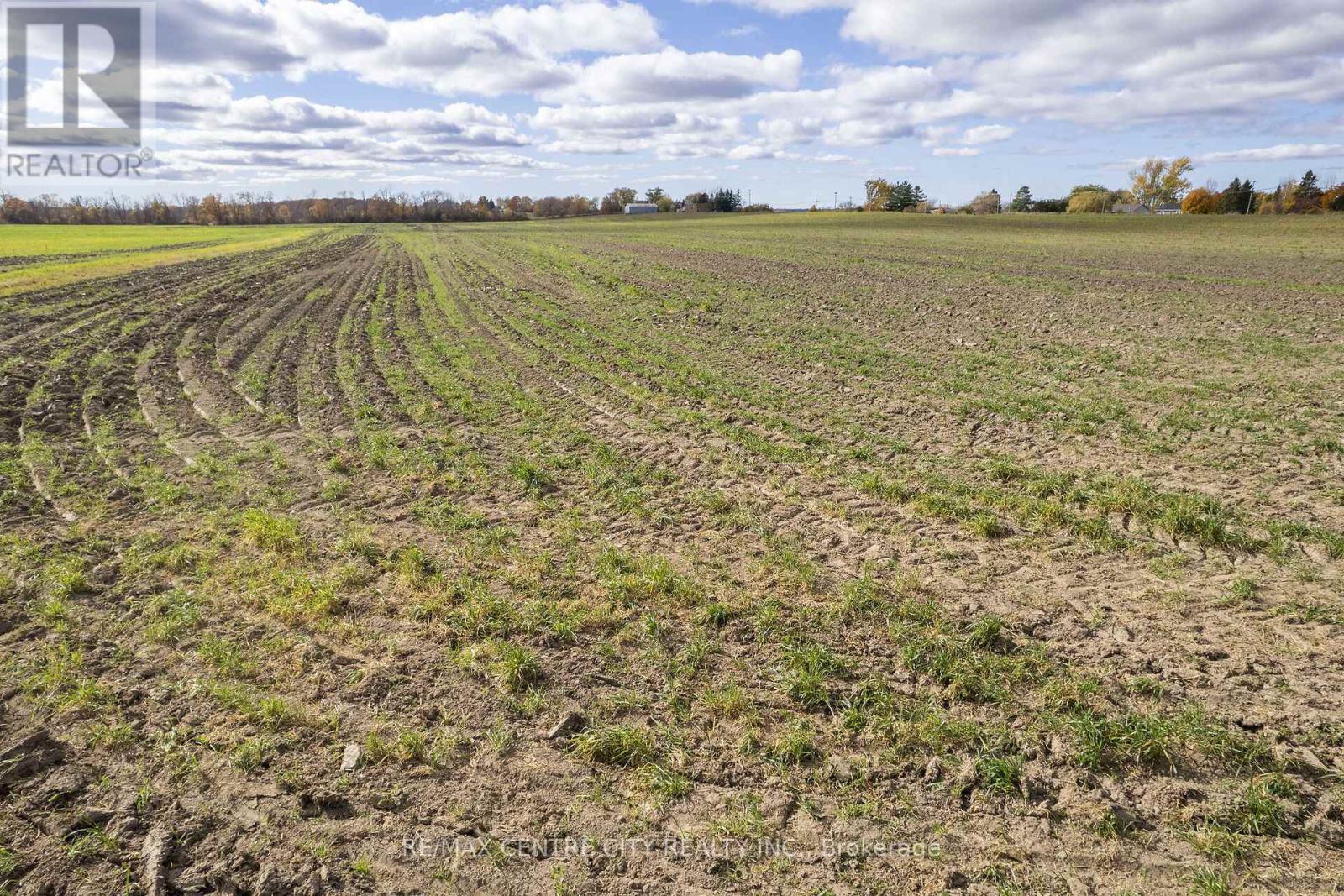 88 Third Concession Road, Greater Napanee, Ontario  K7R 3K7 - Photo 13 - X12170477