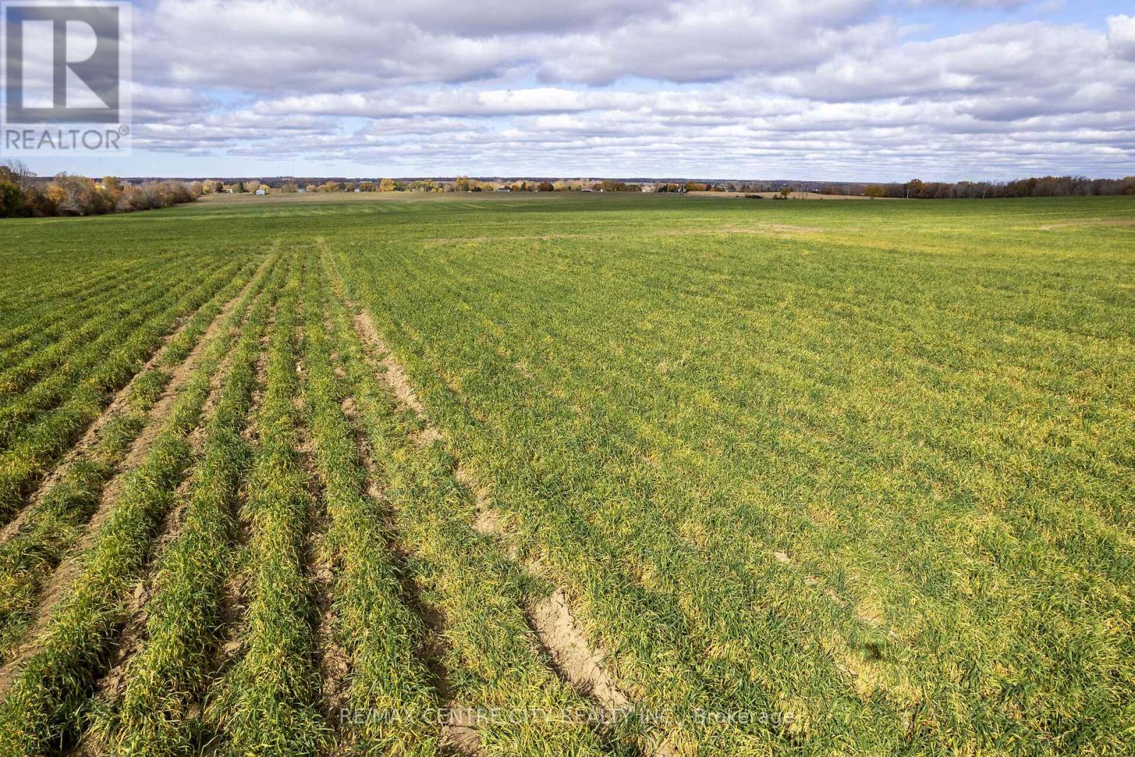 88 Third Concession Road, Greater Napanee, Ontario  K7R 3K7 - Photo 10 - X12170477