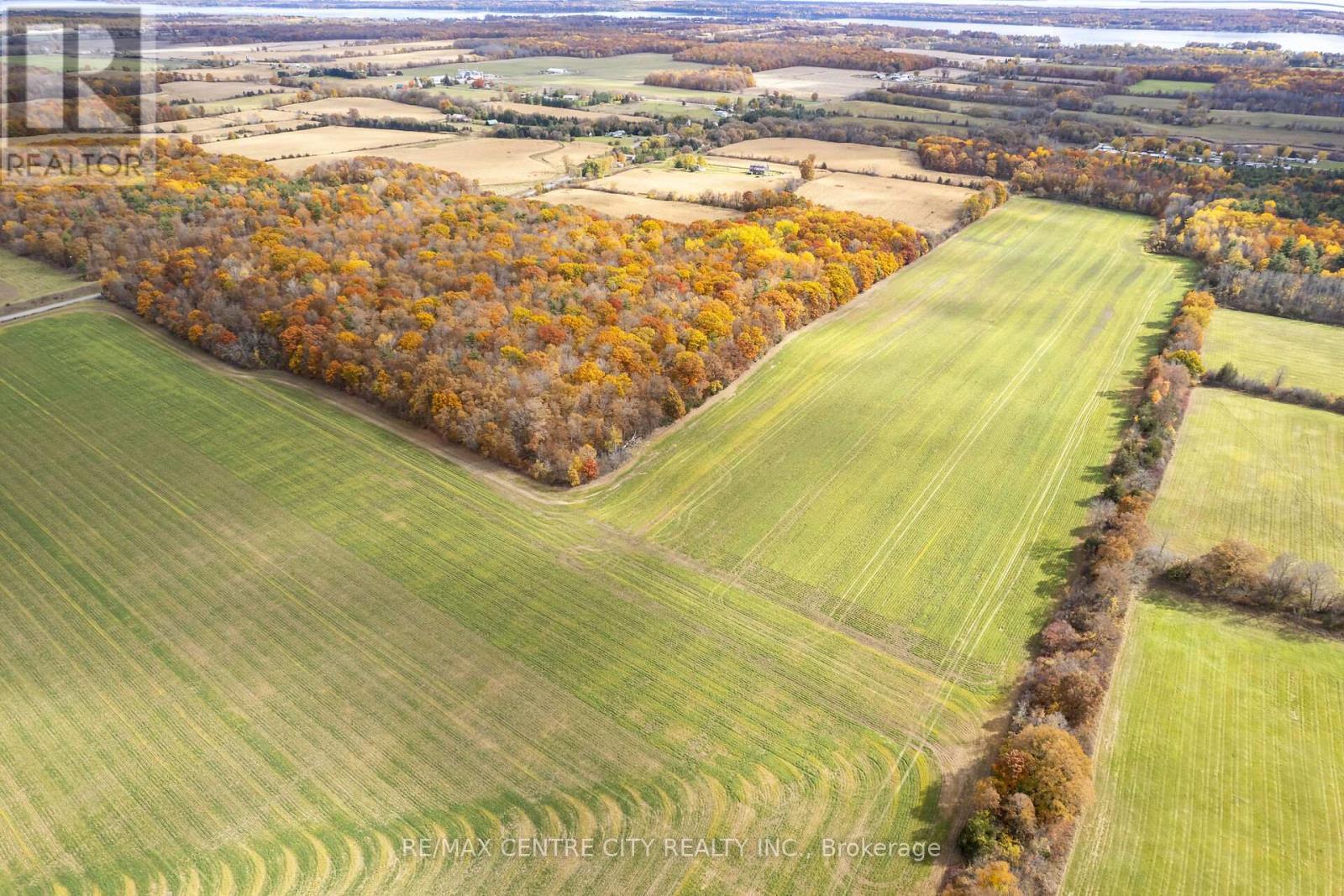 88 Third Concession Road, Greater Napanee, Ontario  K7R 3K7 - Photo 7 - X12170477