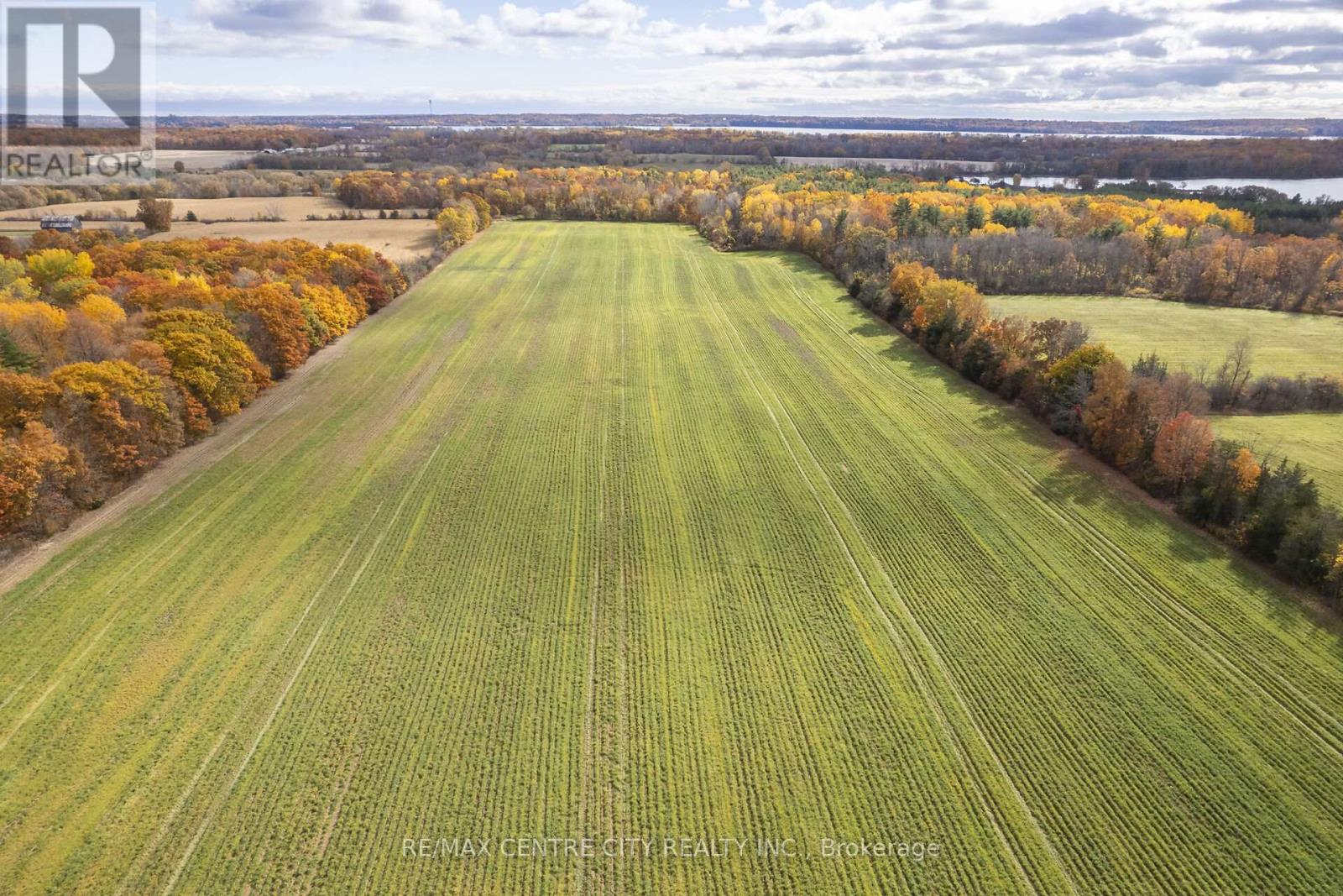 88 Third Concession Road, Greater Napanee, Ontario  K7R 3K7 - Photo 9 - X12170477