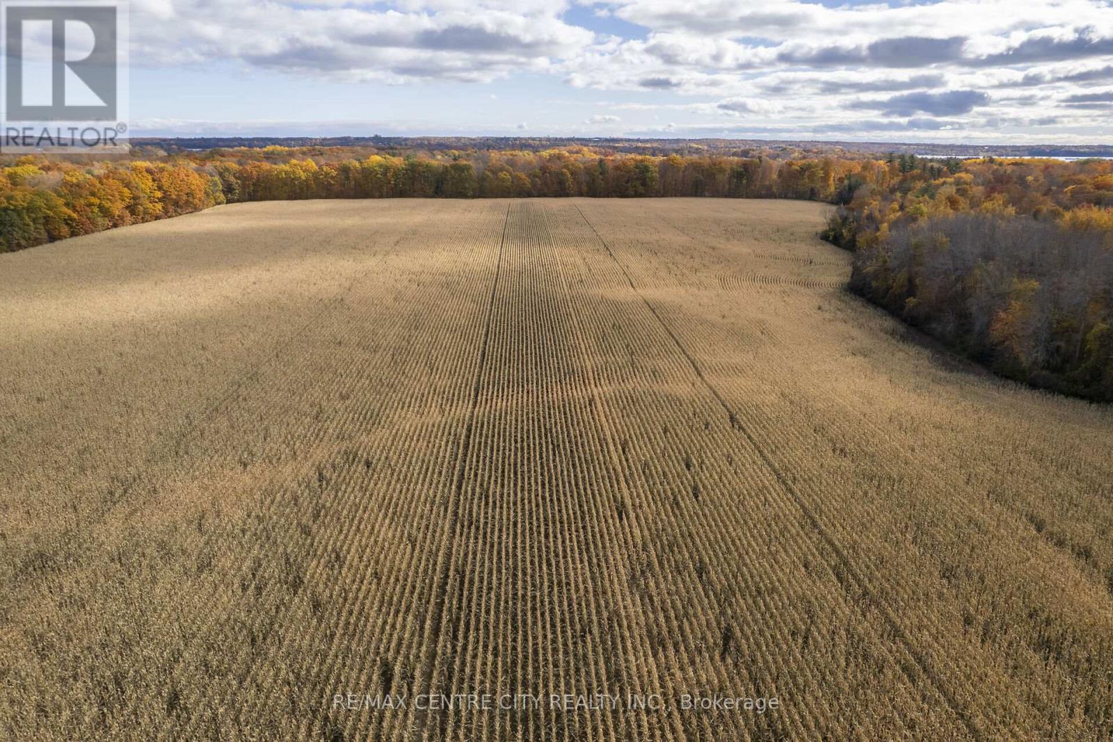5159 County Road 8 Road, Greater Napanee, Ontario  K7R 3K7 - Photo 4 - X12170476