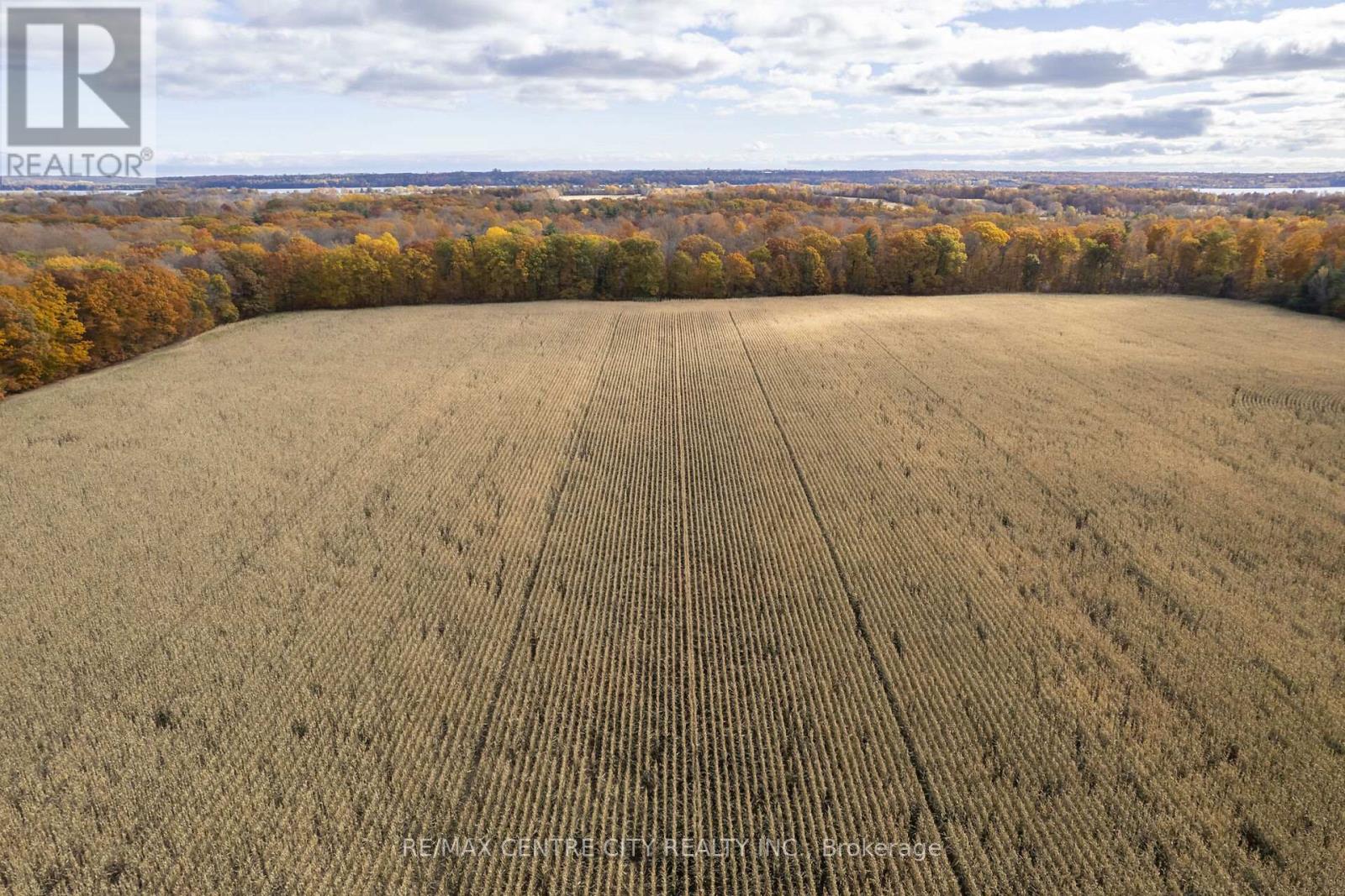 5159 County Road 8 Road, Greater Napanee, Ontario  K7R 3K7 - Photo 9 - X12170476