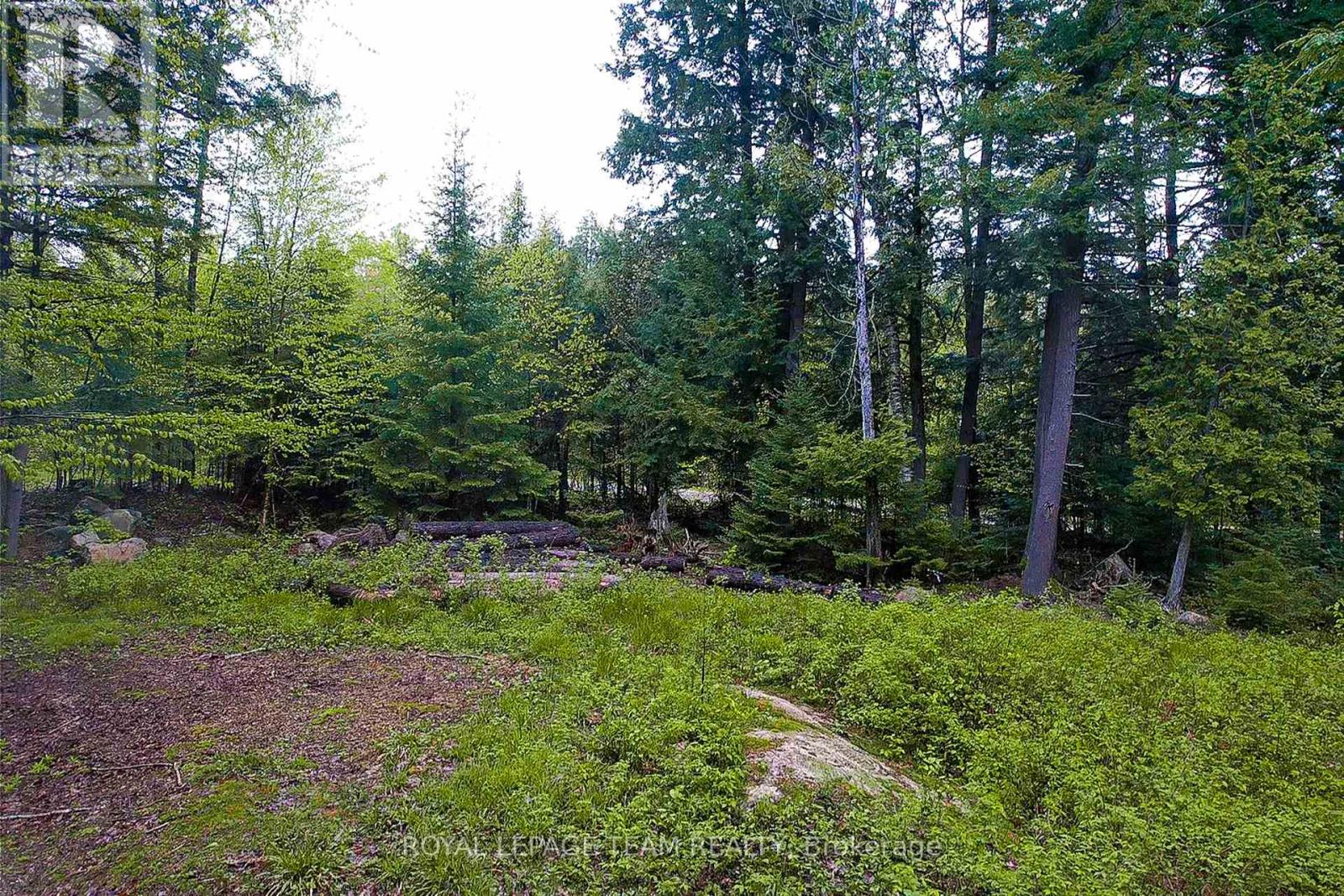 -00 Biernacki Mountain Road, Madawaska Valley, Ontario  K0J 1B0 - Photo 6 - X12171944