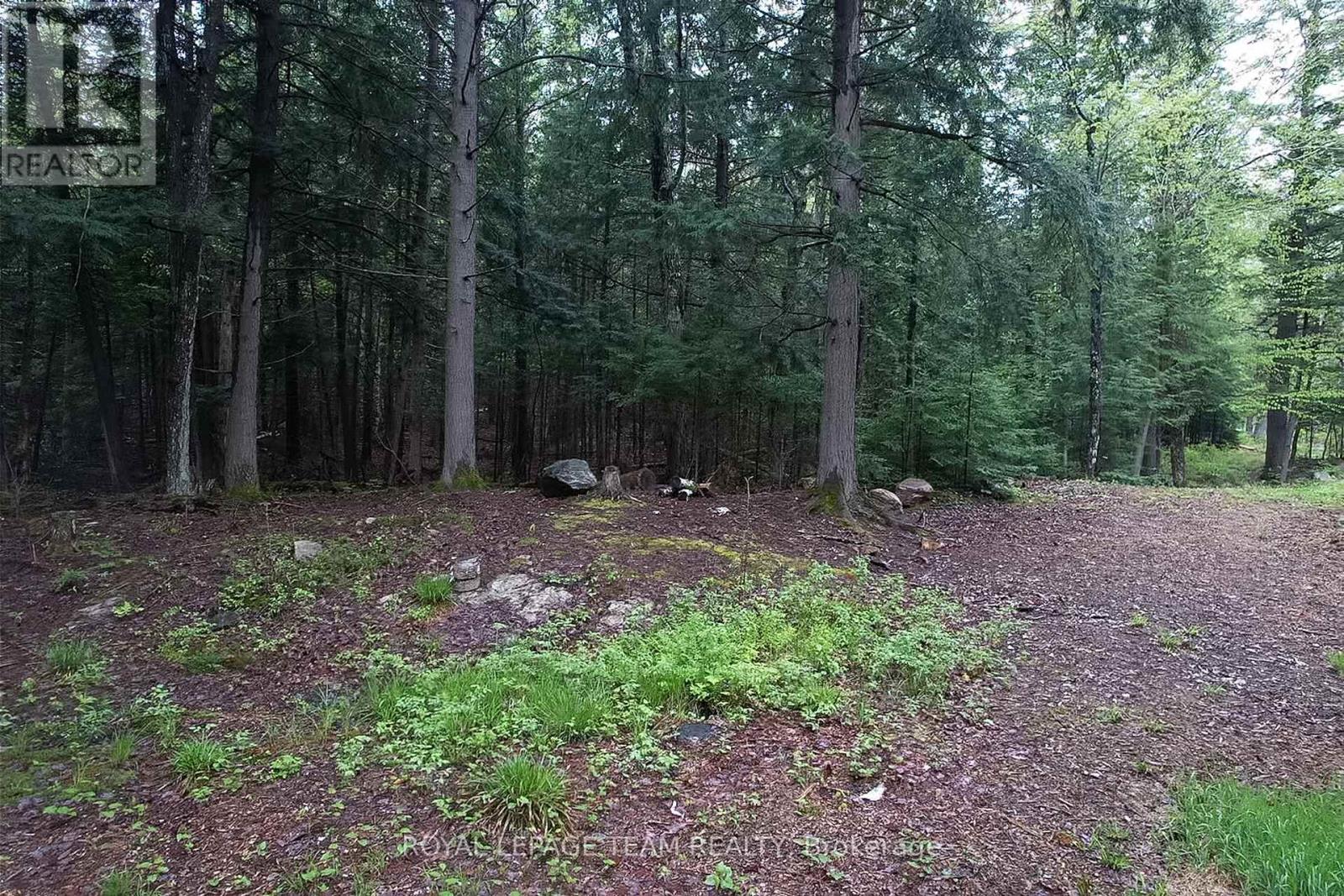 - Biernacki Mountain Road, Madawaska Valley, Ontario  K0J 1B0 - Photo 12 - X12171954