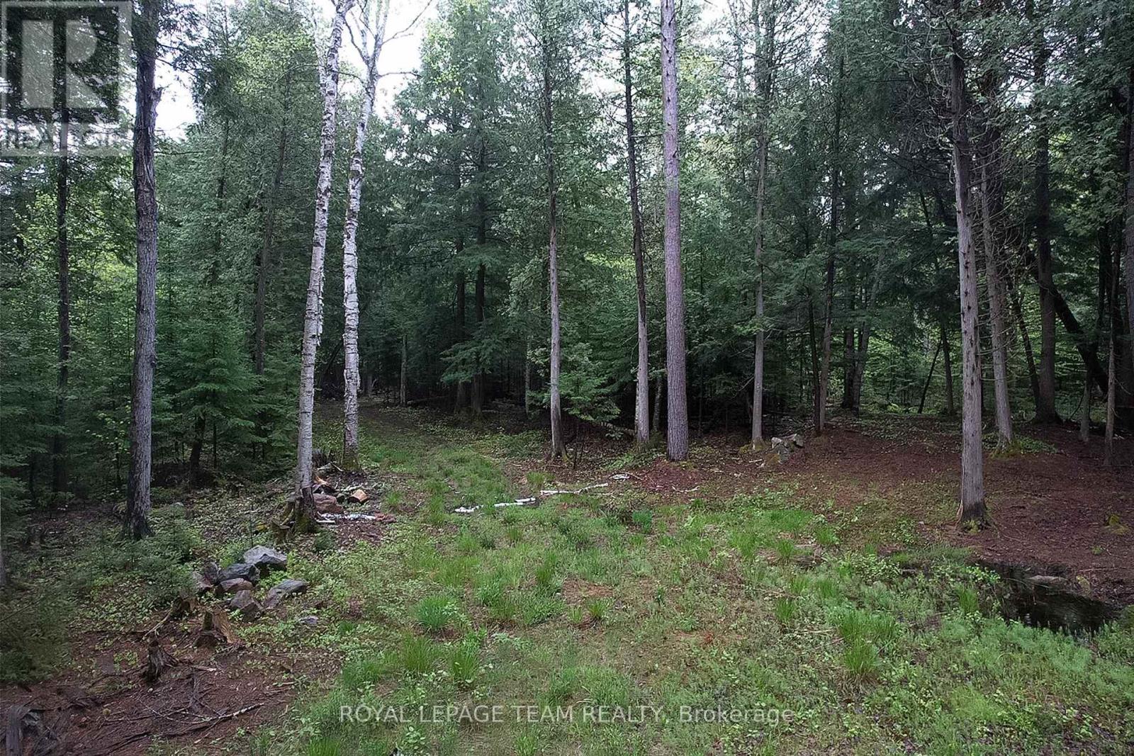 - Biernacki Mountain Road, Madawaska Valley, Ontario  K0J 1B0 - Photo 13 - X12171954