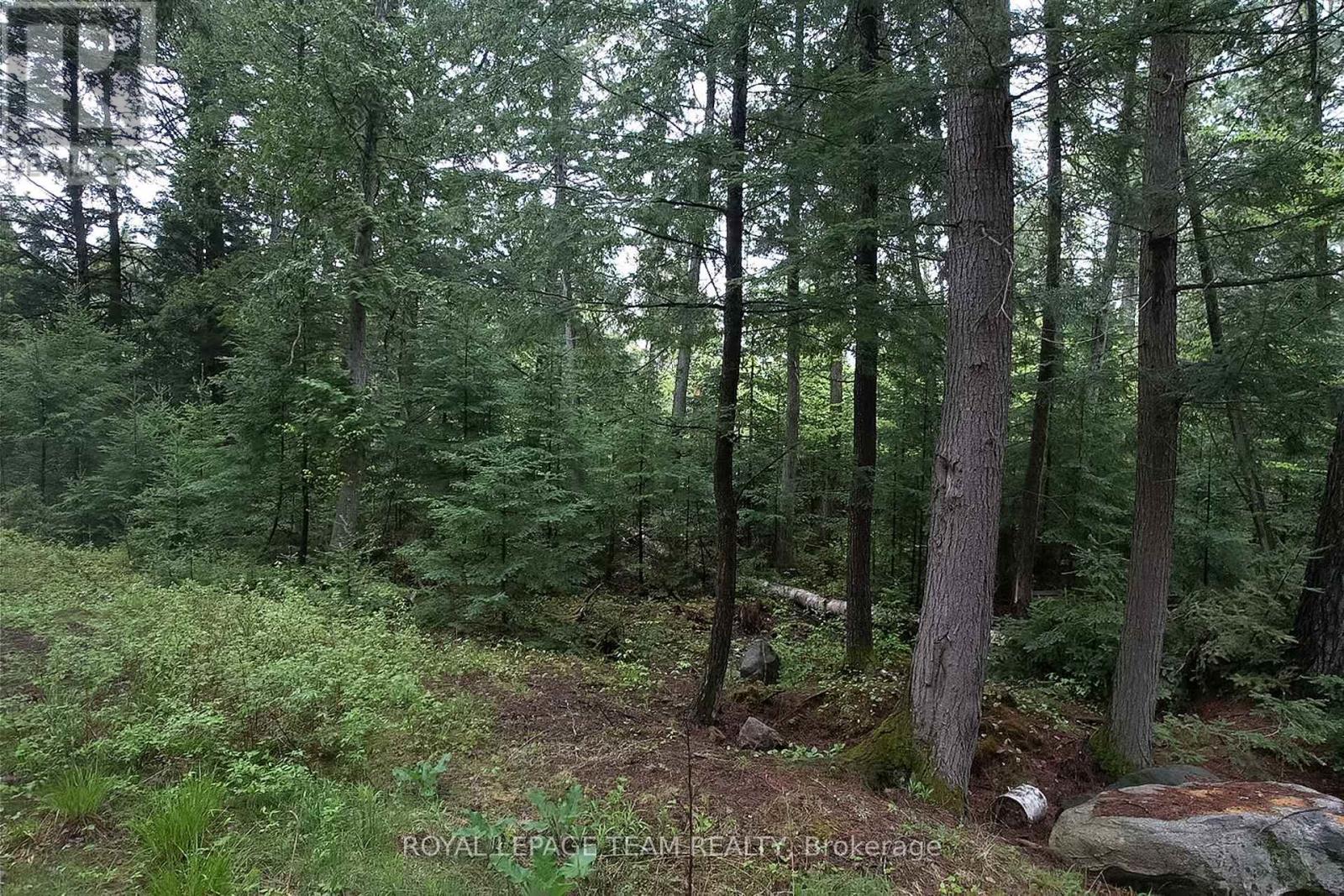 - Biernacki Mountain Road, Madawaska Valley, Ontario  K0J 1B0 - Photo 14 - X12171954