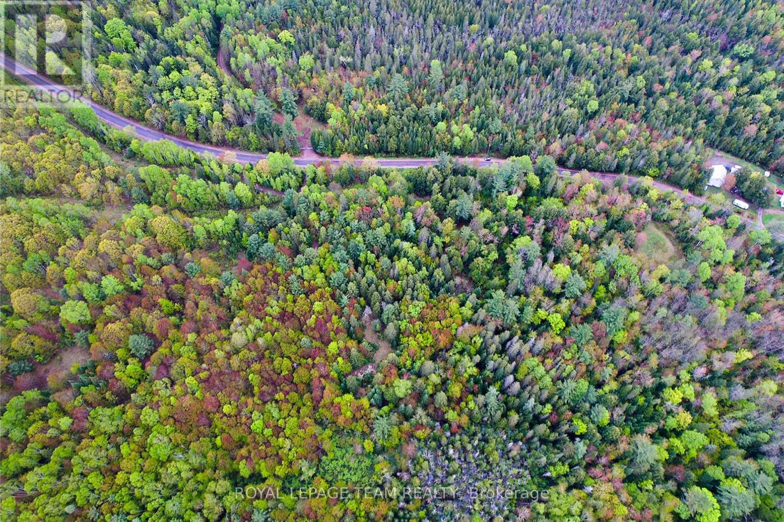 - Biernacki Mountain Road, Madawaska Valley, Ontario  K0J 1B0 - Photo 4 - X12171954