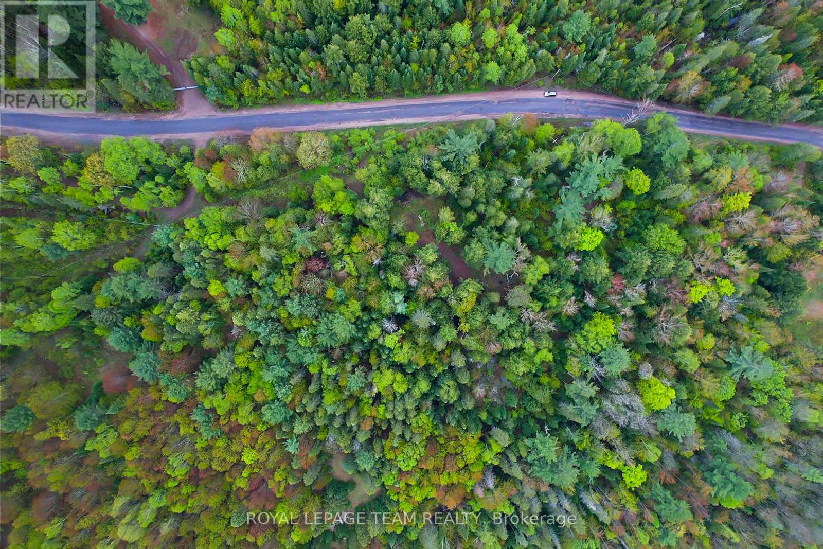 - Biernacki Mountain Road, Madawaska Valley, Ontario  K0J 1B0 - Photo 5 - X12171954