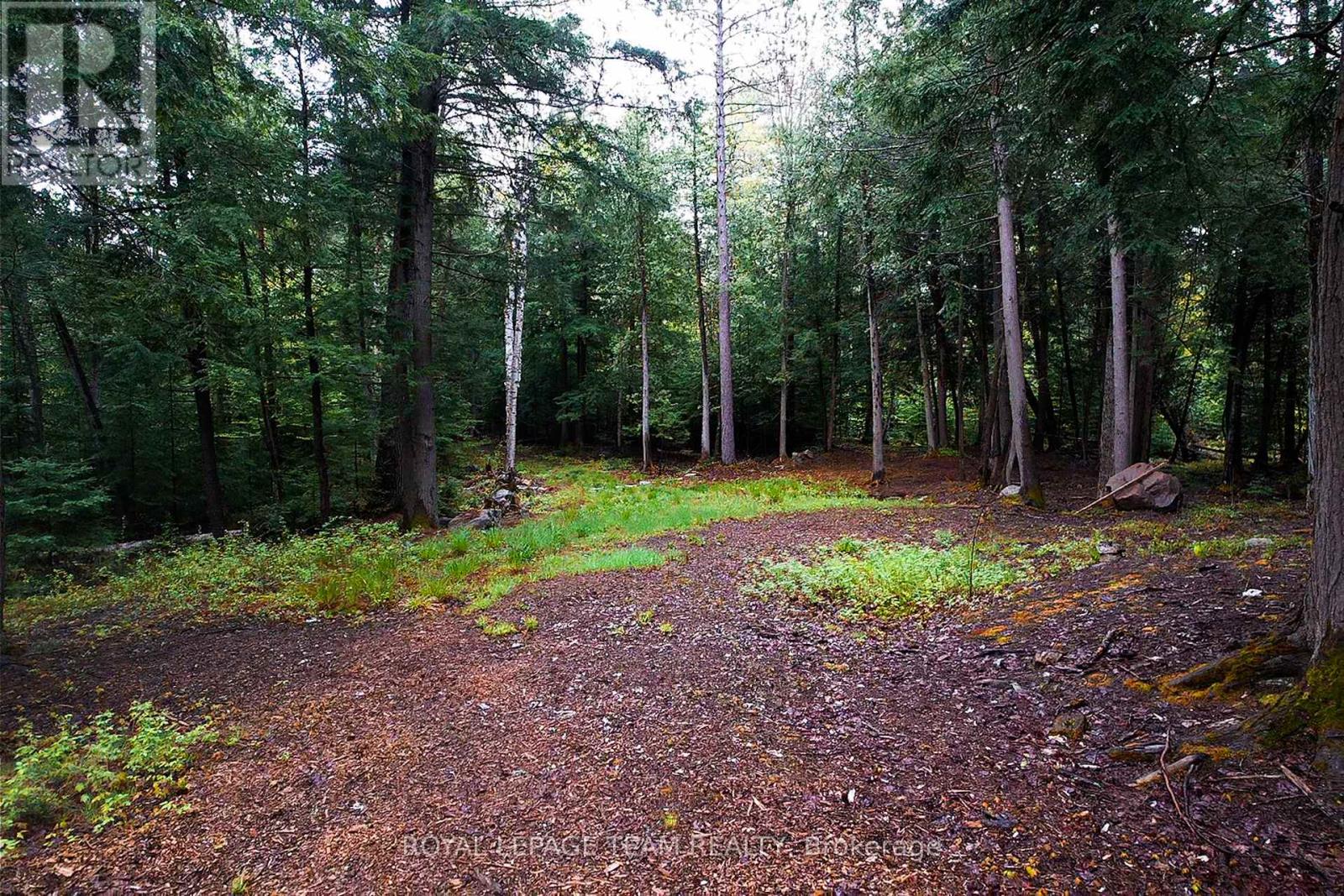 - Biernacki Mountain Road, Madawaska Valley, Ontario  K0J 1B0 - Photo 7 - X12171954