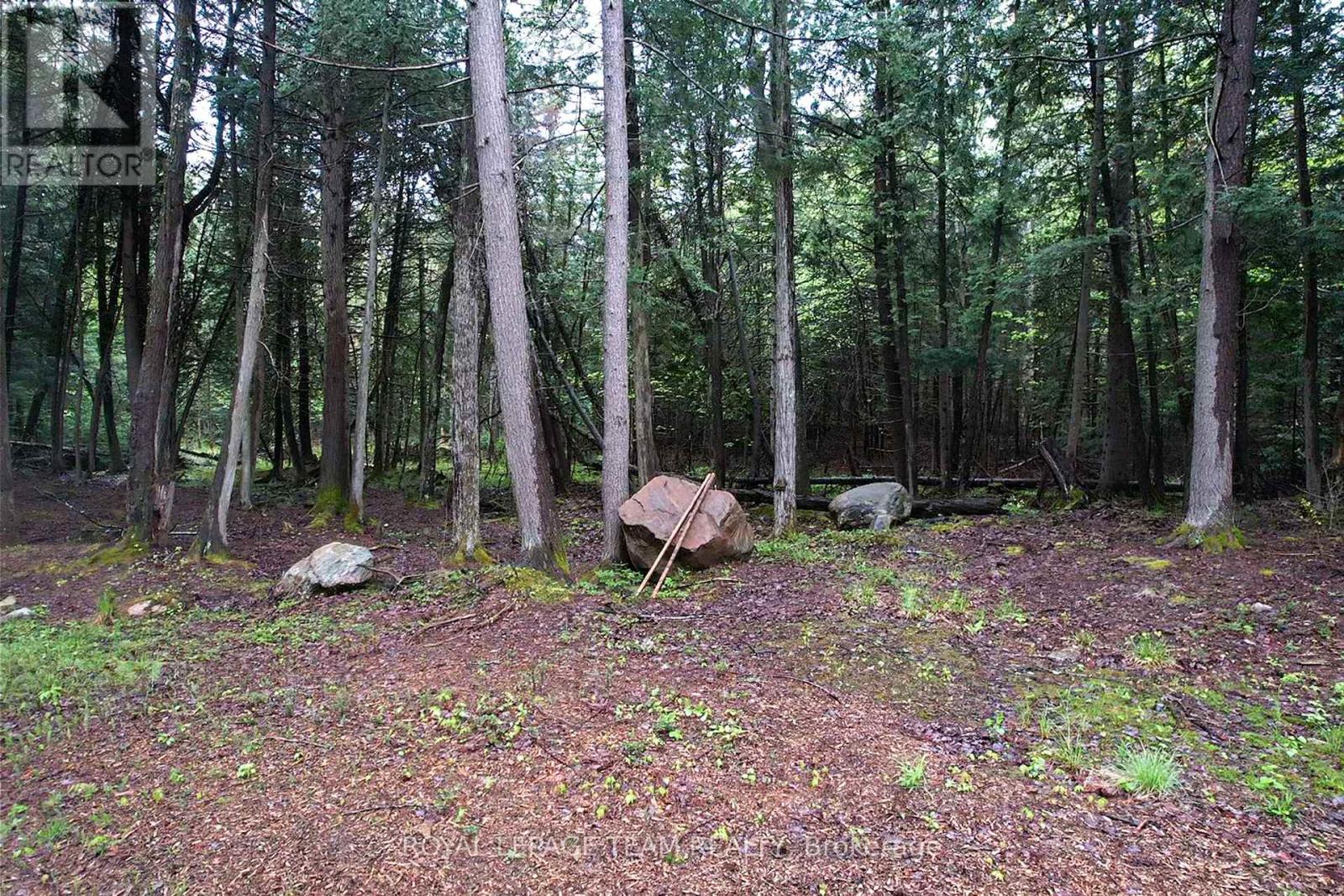 - Biernacki Mountain Road, Madawaska Valley, Ontario  K0J 1B0 - Photo 9 - X12171954