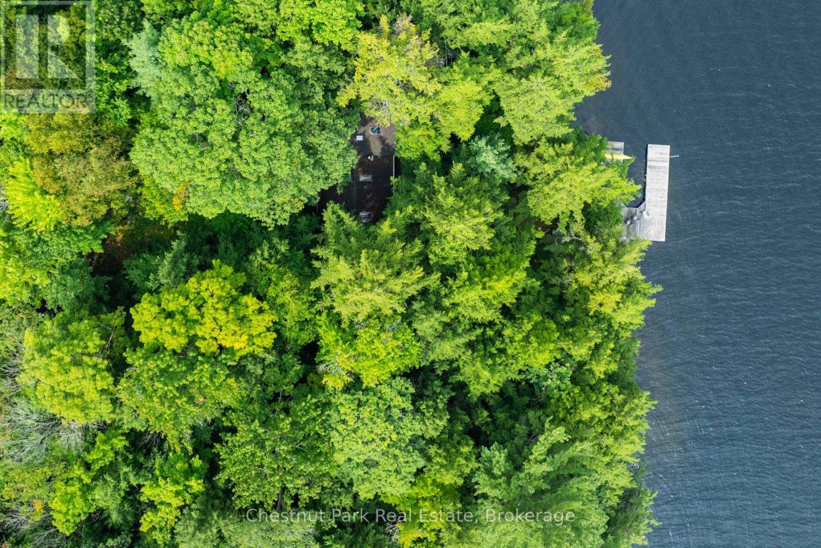 2 - 1029 Ham Road, Muskoka Lakes, Ontario  P0C 1A0 - Photo 2 - X12171935