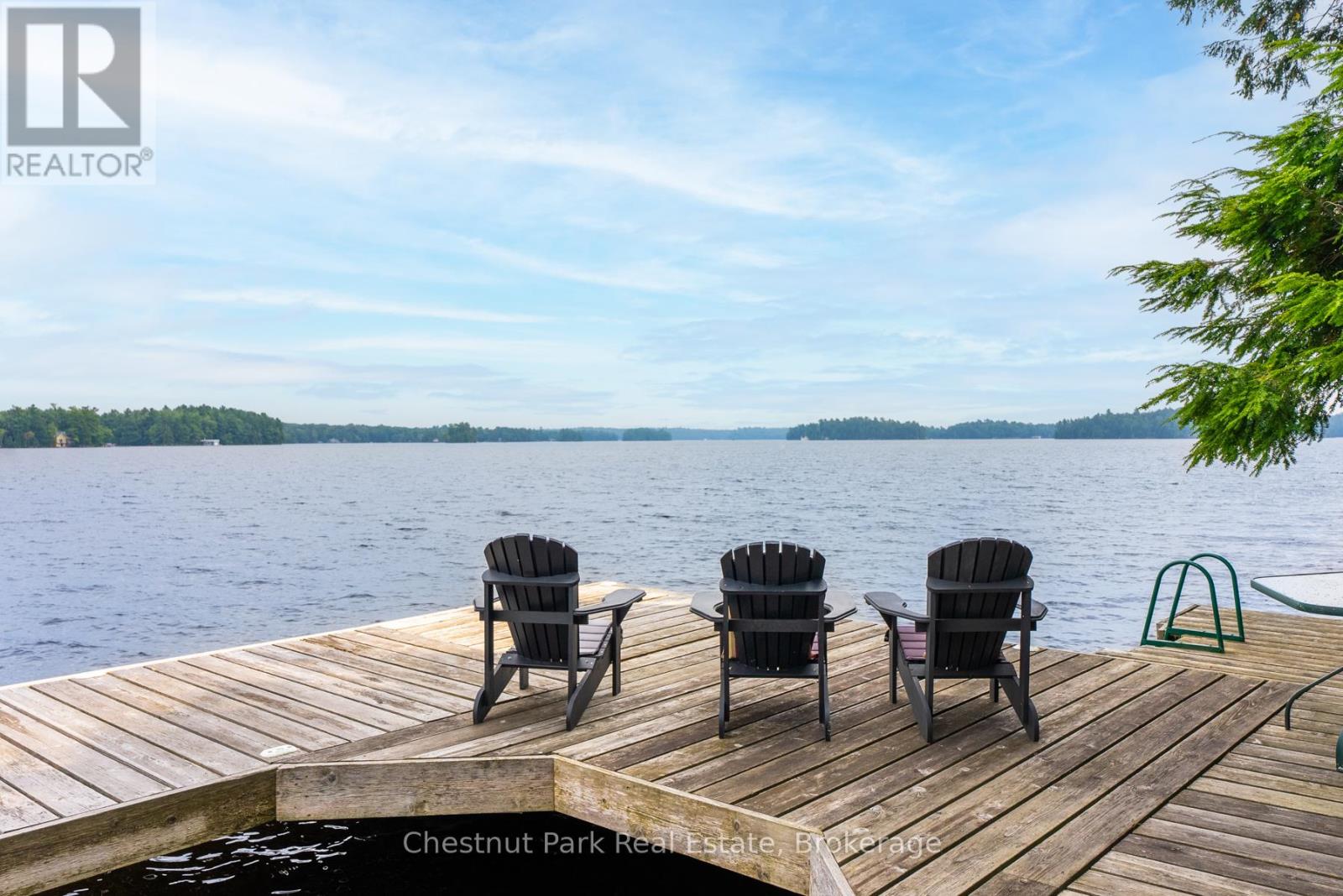 2 - 1029 Ham Road, Muskoka Lakes, Ontario  P0C 1A0 - Photo 37 - X12171935