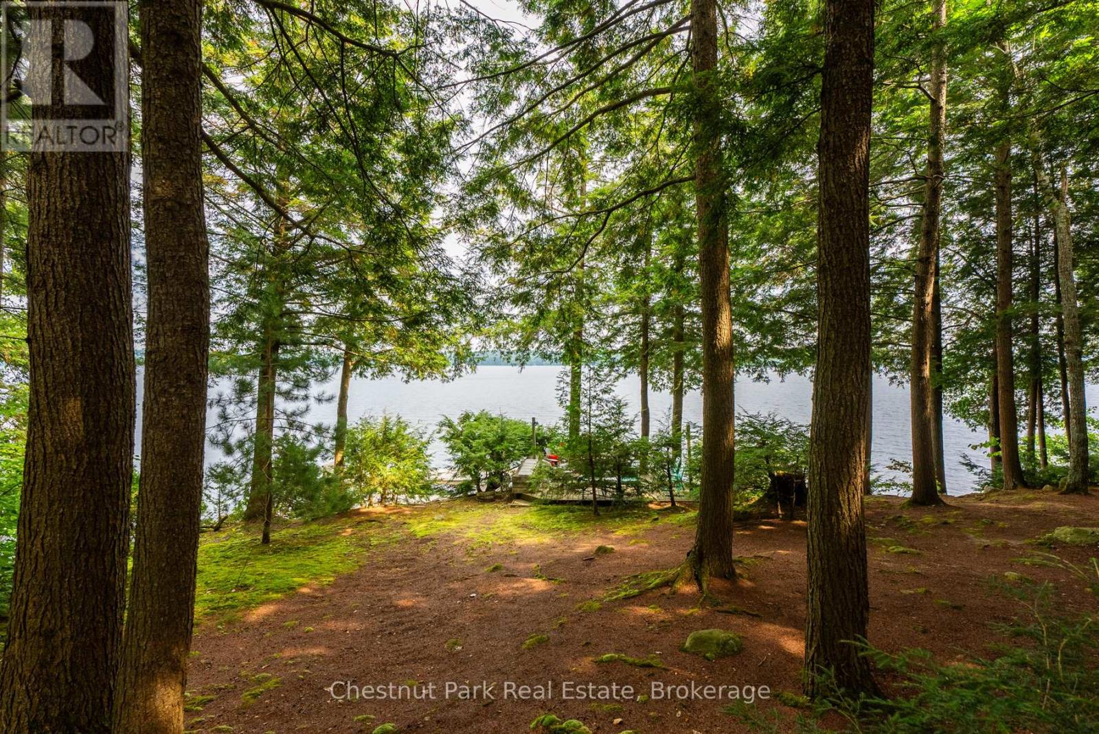 2 - 1029 Ham Road, Muskoka Lakes, Ontario  P0C 1A0 - Photo 38 - X12171935