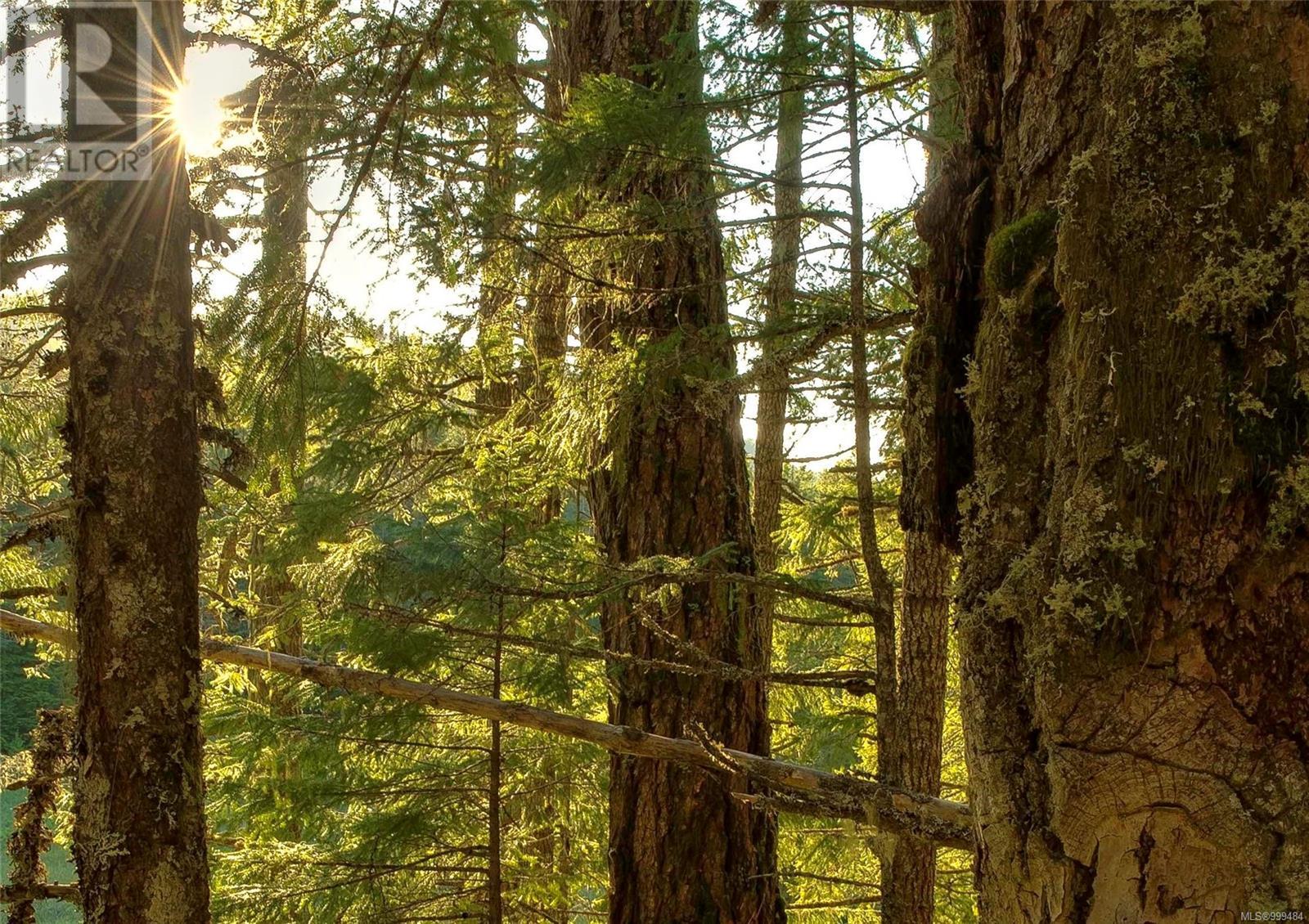 4229 Goldstream Heights Dr, Malahat, British Columbia  V8H 2J1 - Photo 34 - 999484